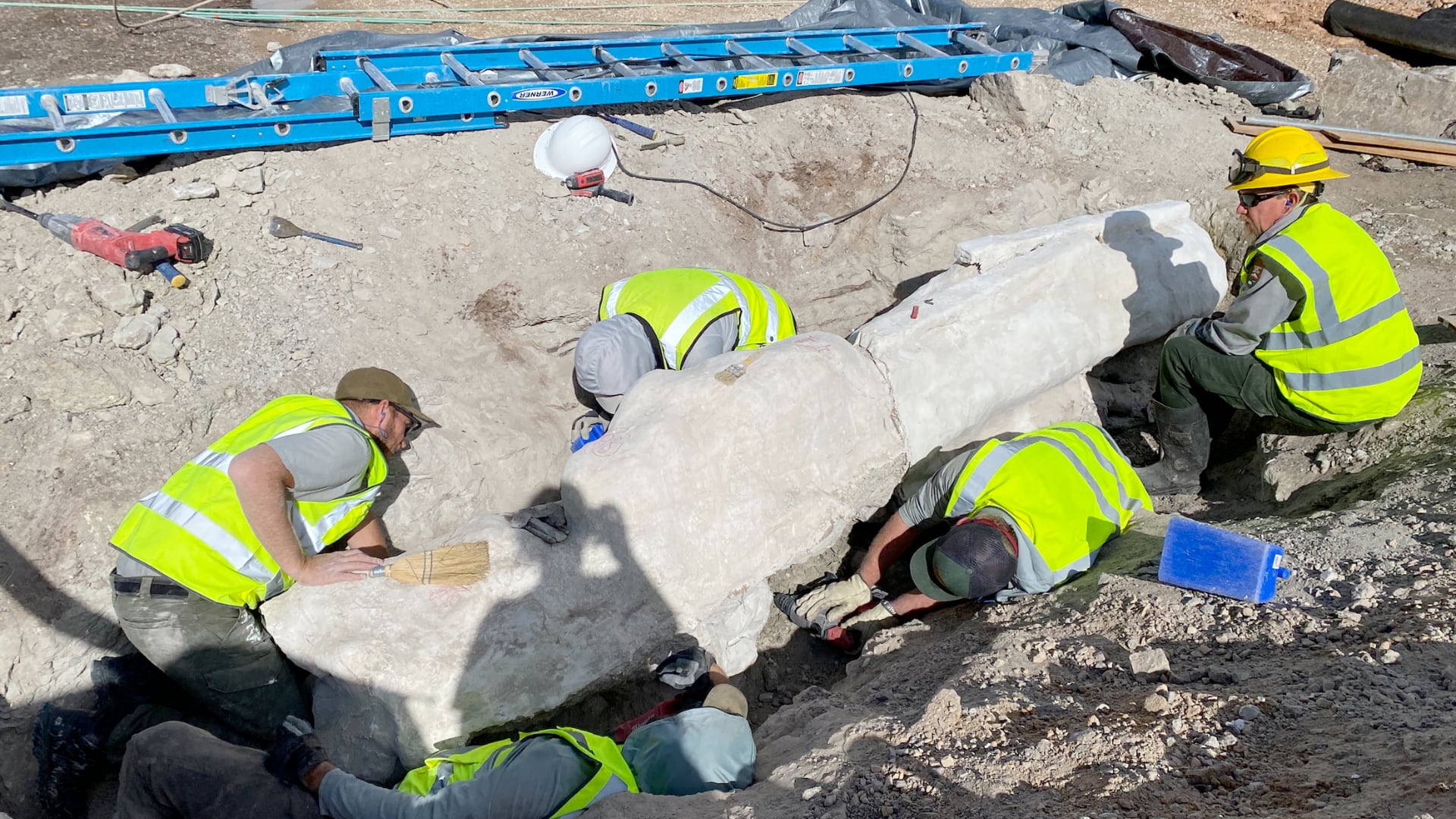 Trabajos en un estacionamiento permitieron hallar 1.360 kg de fósiles de un dinosaurio en un parque histórico de Estados Unidos.