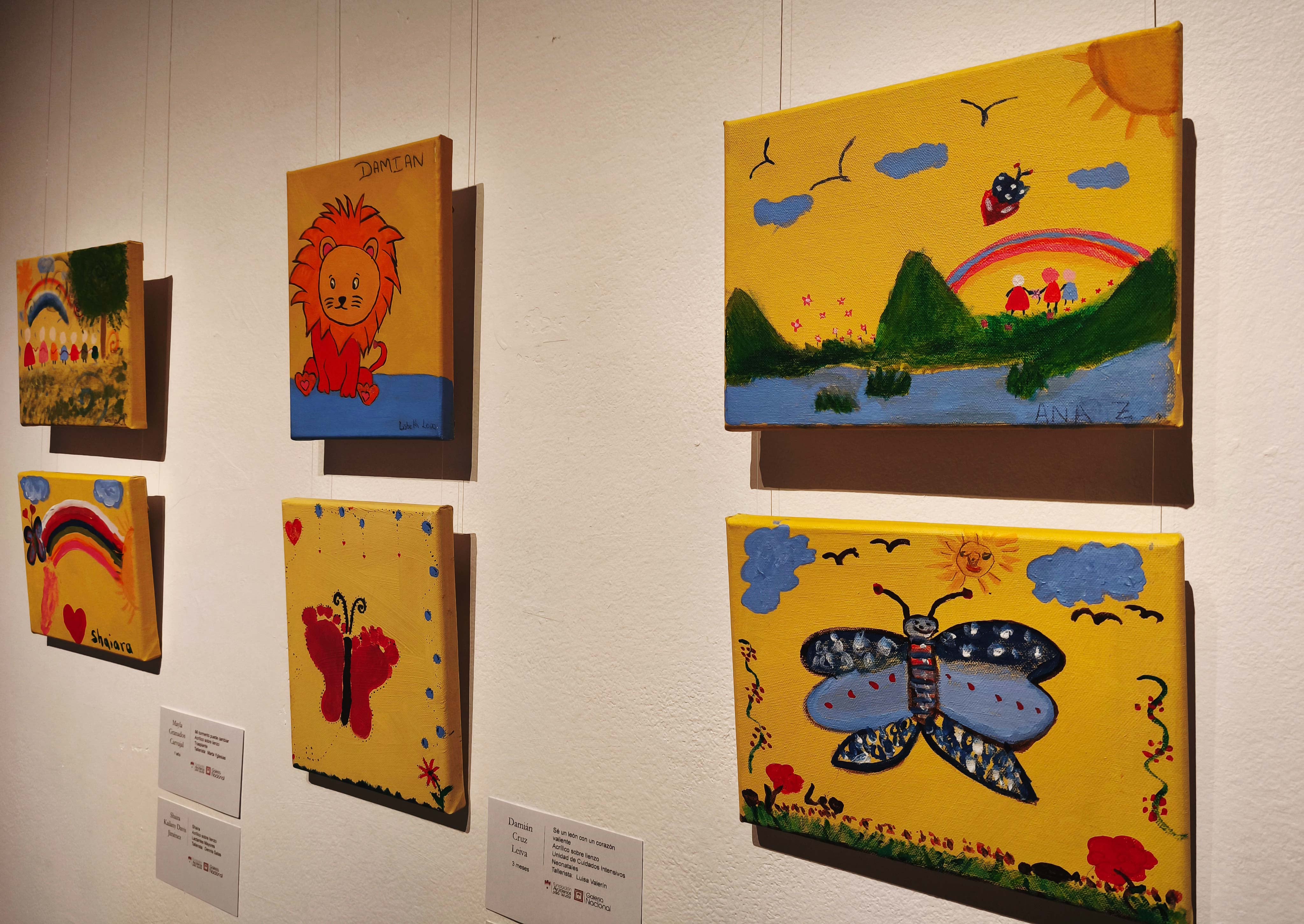 Exposición 'Desde el aliento' y Pedagogía Hospitalaria en Costa Rica en la Galería Nacional