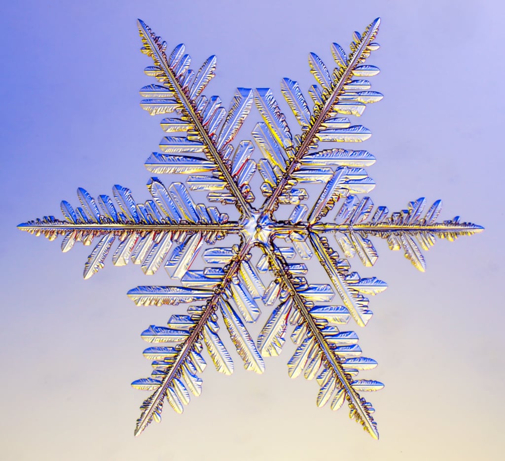 Cristales de nieve vistos por un microscopio.