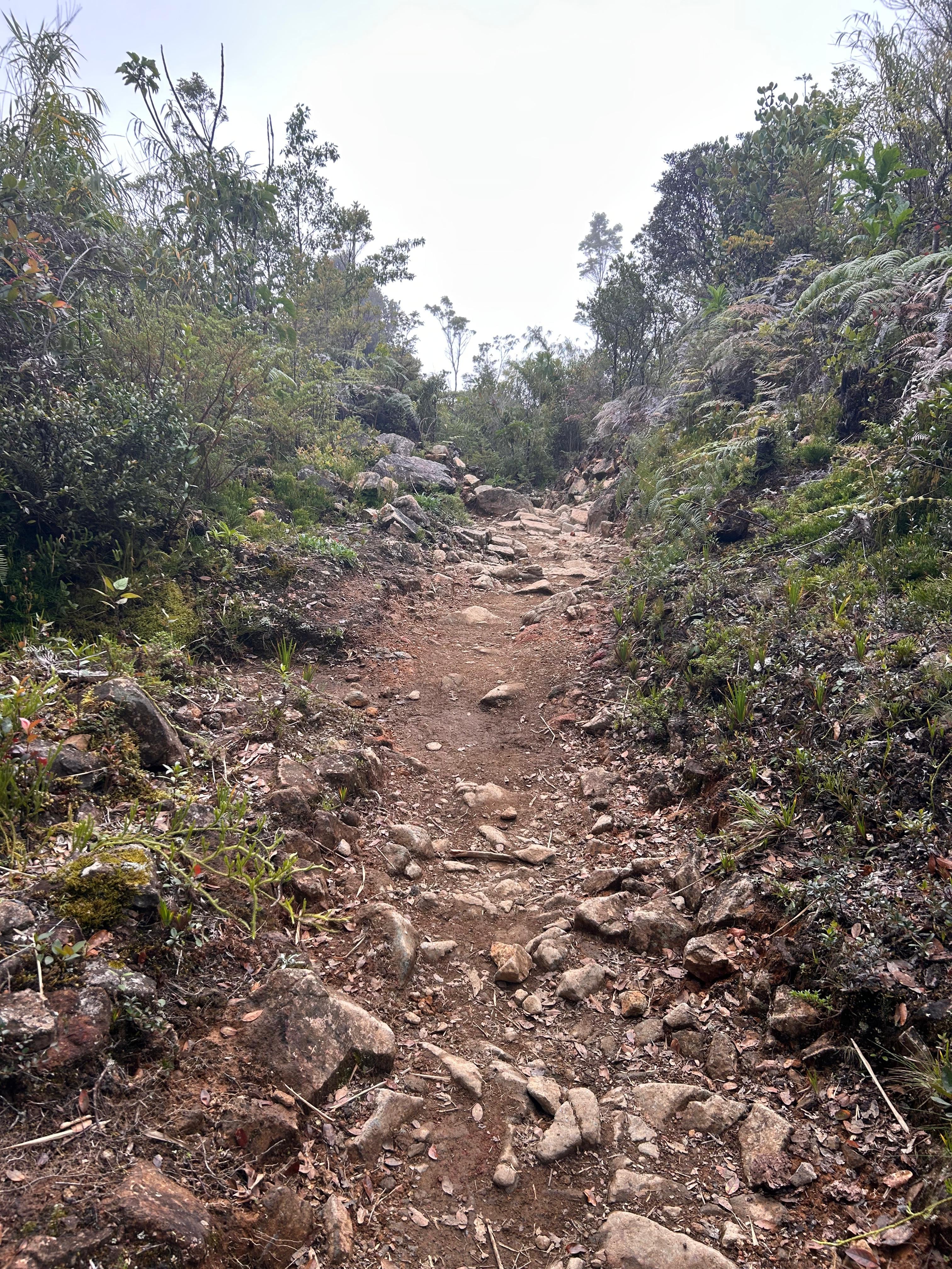 Tramo de descenso entre Base Crestones y Llano Bonito. En los últimos kilómetros el sendero se vuelve técnico y, para quienes bajan corriendo sin mucha práctica, puede ser peligroso. Aquí mismo muchos atletas se han accidentado durante la competencia anual que llega hasta Base Crestones.