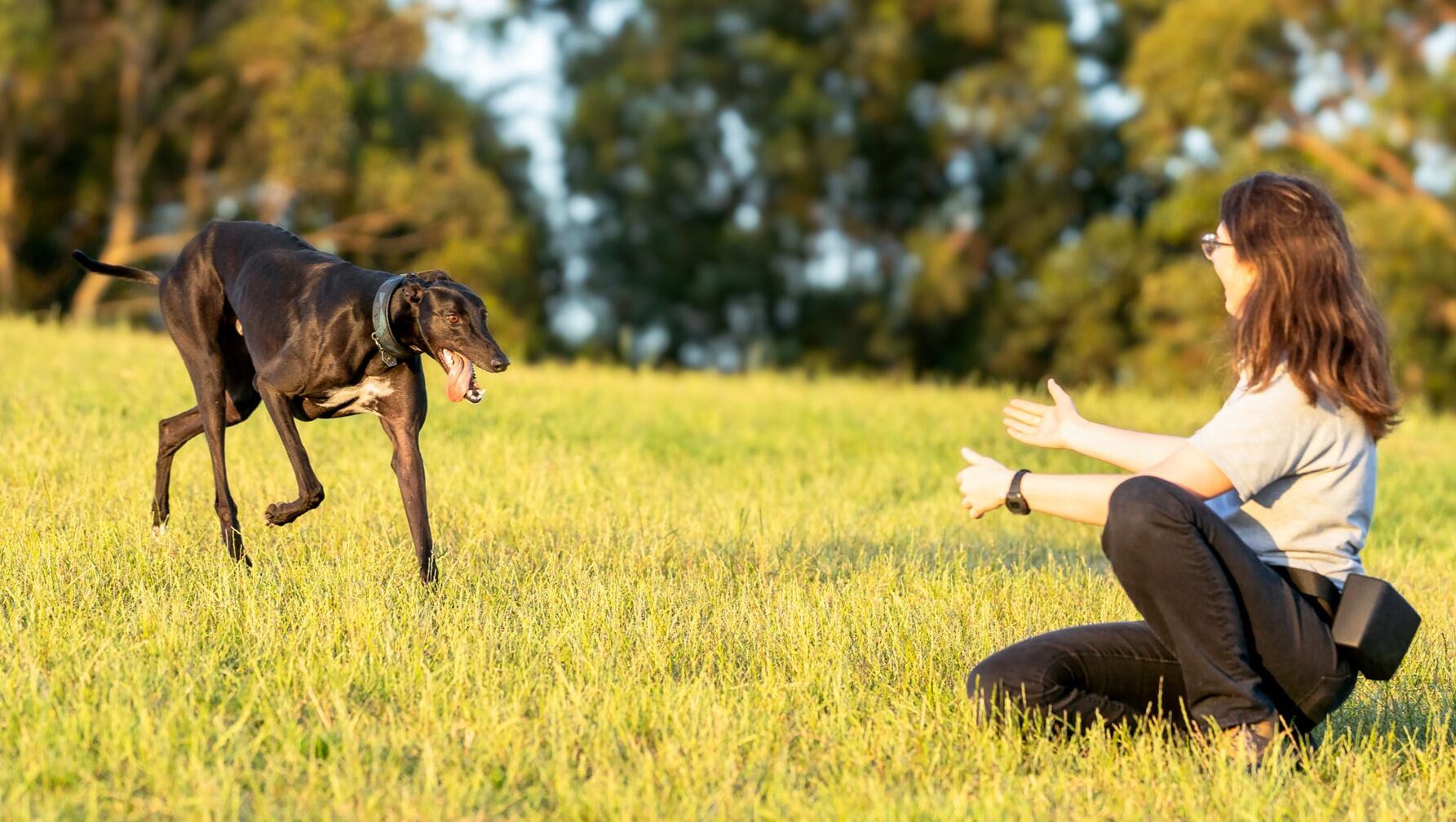 Mozart y Monika Minikin
