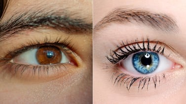 ¿Por qué la mayoría de las personas tiene ojos café? La genética revela el origen de los colores más raros
