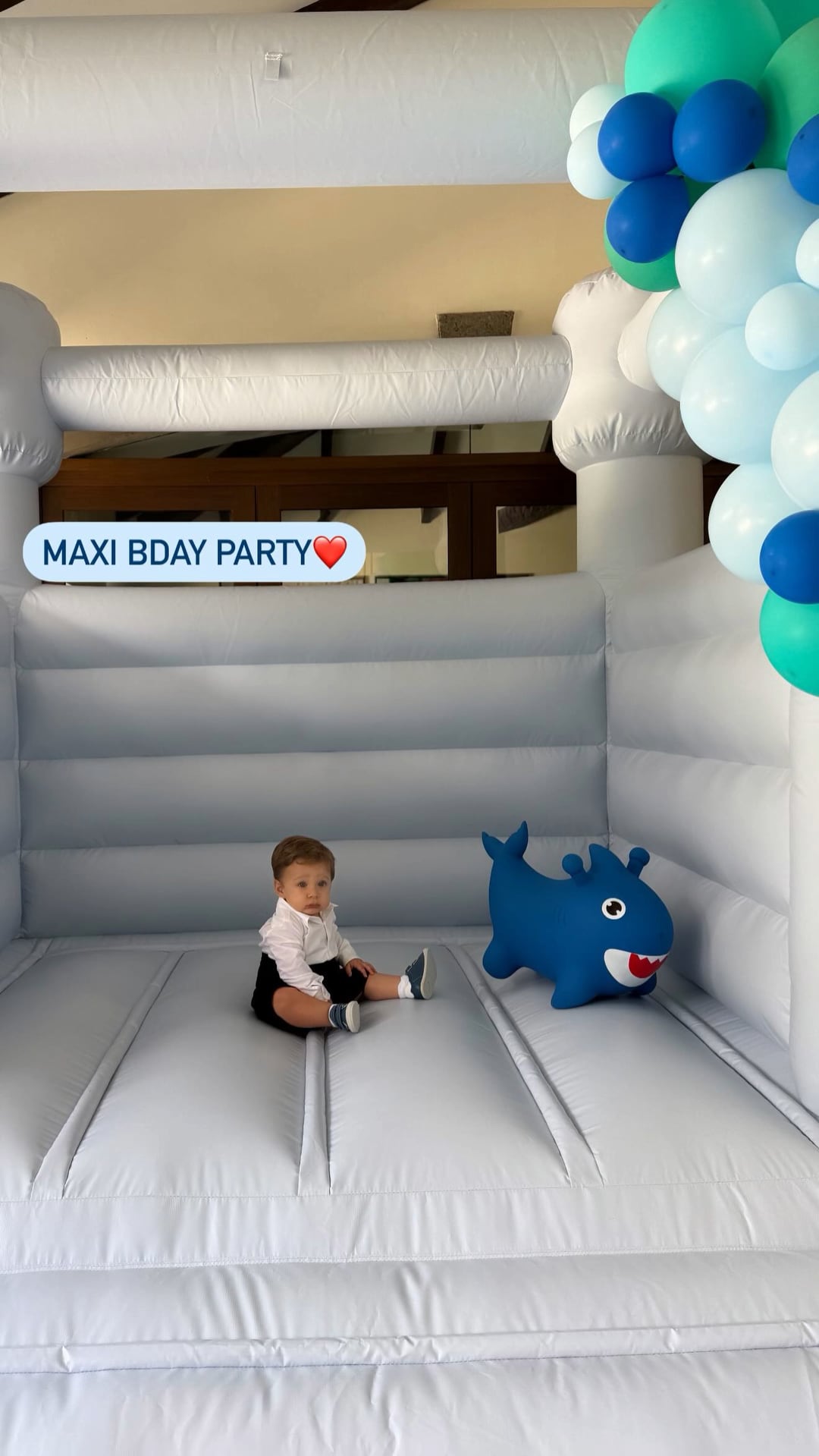 Maxi, hijo de María Jesús Prada, celebró su primer cumpleaños rodeado de figuras de tiburones y con un inflable incluido.