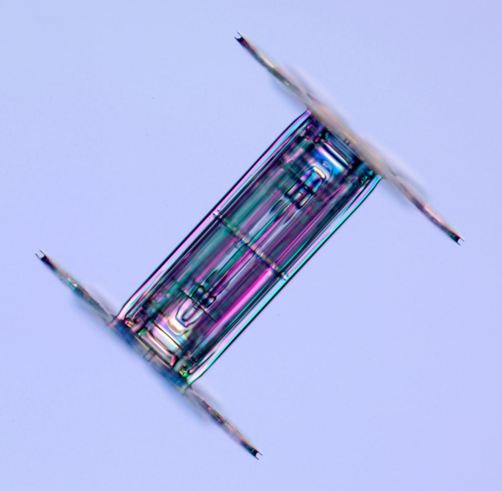 Cristales de nieve vistos por un microscopio.