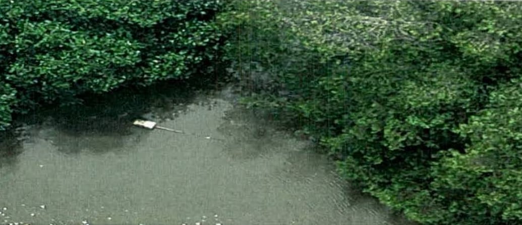 En una propiedad identificada como "Patio Moín" se observa una boya con un tubo que, en apariencia, guía hacia una de las tomas ilegales que abastecían las tanquetas.