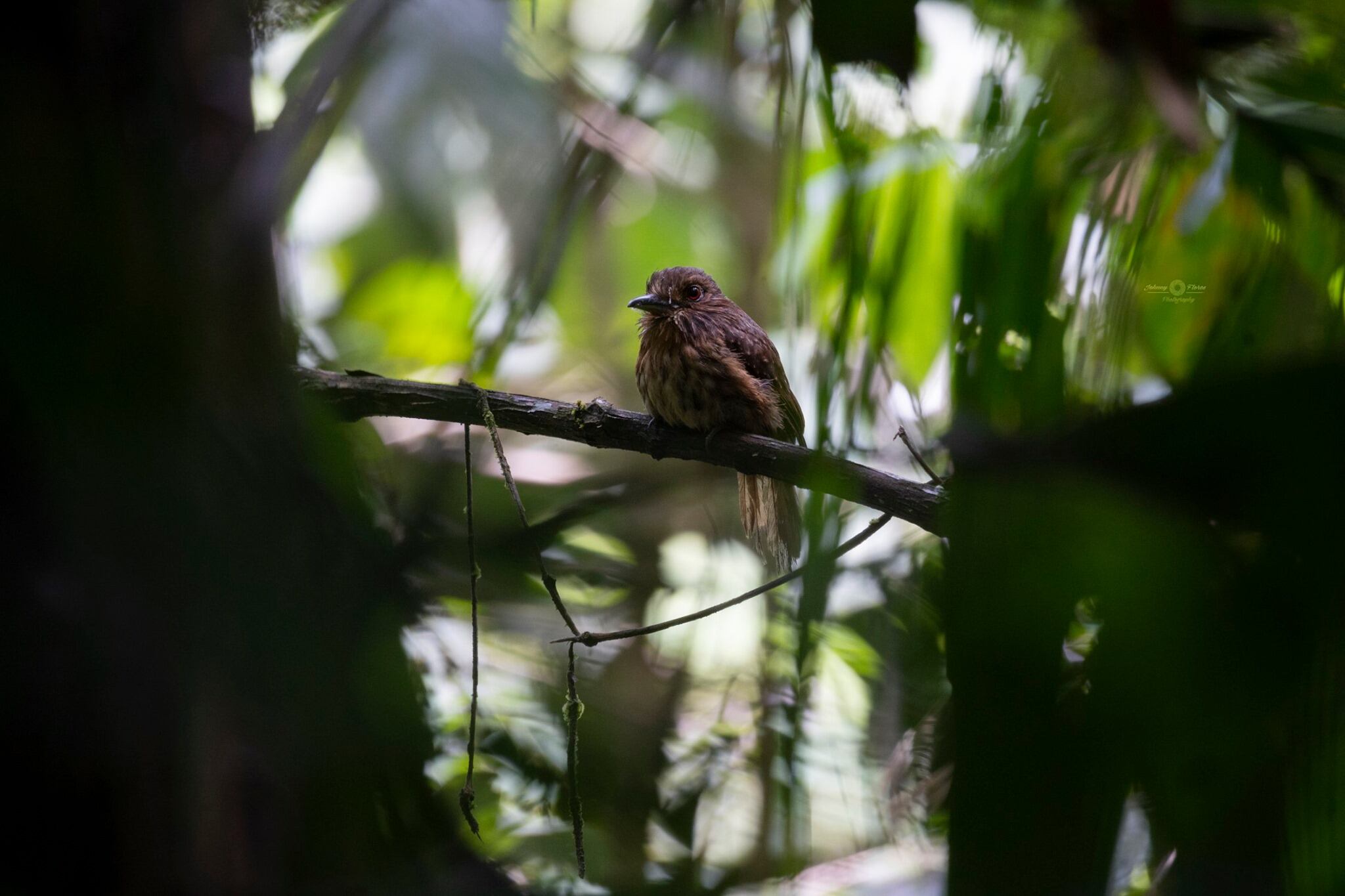 Reserva biológica Tirimbina. (Foto de la reserva)