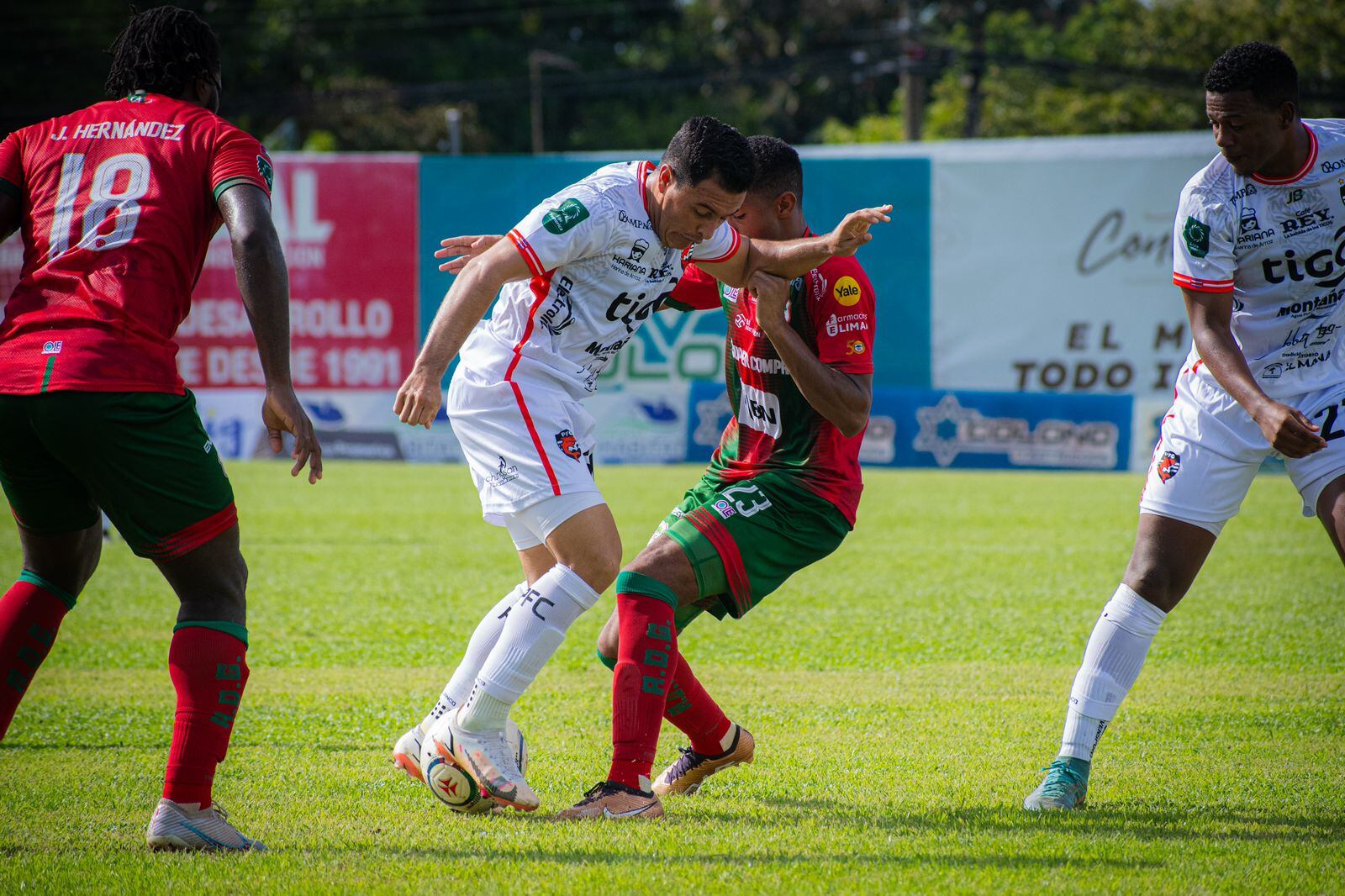 Guanacasteca - Puntarenas