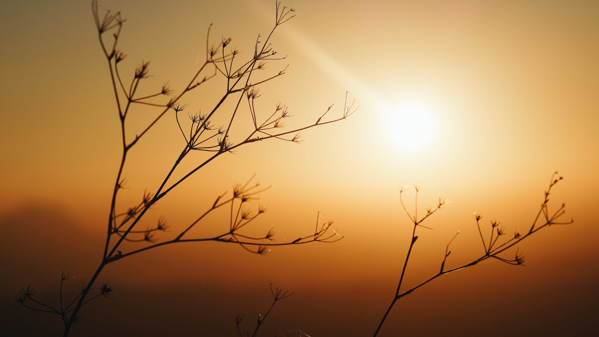 Informe advierte sobre un colapso ambiental global si no se aplican políticas climáticas urgentes y sostenidas.