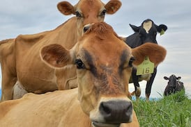 El campo no teme al comercio; teme competir en desventaja
