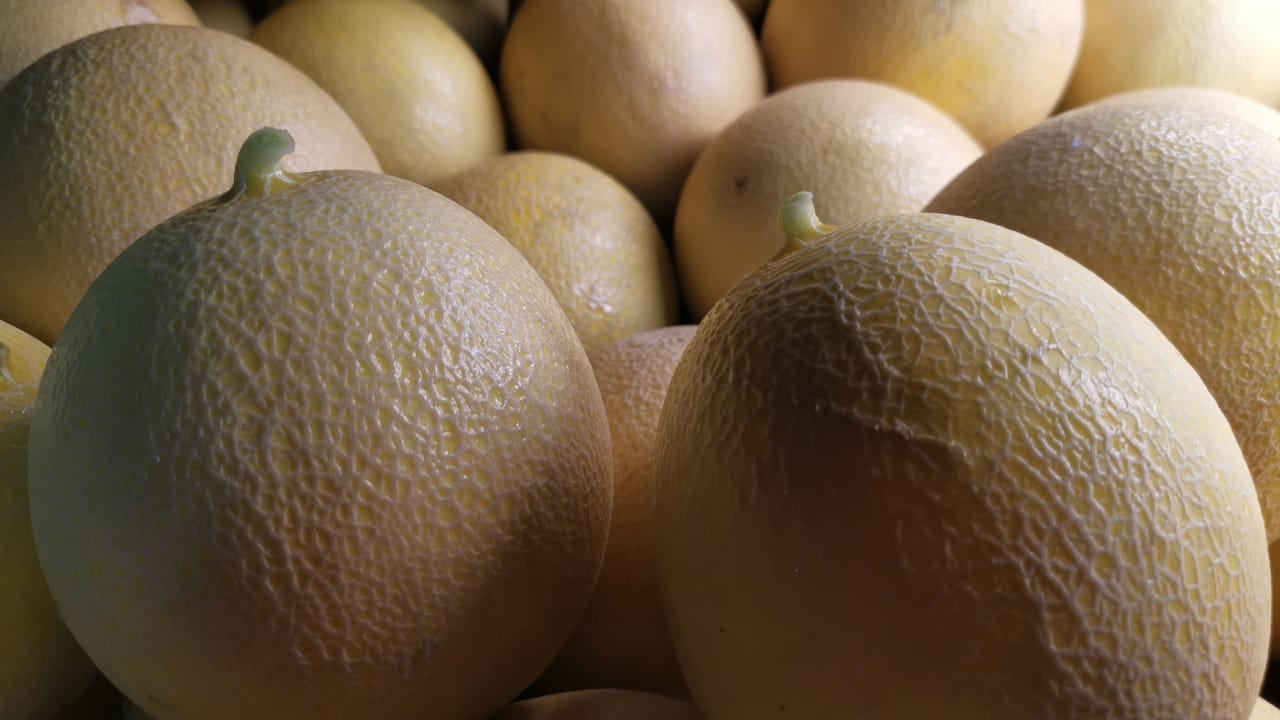 La fruta costarricense mantiene alta calidad y es producida con compromisos sociales y ambientales. Los productores y Procomer se proponen hacer una promoción en Europa destacando esos atributos. Foto: Cortesía