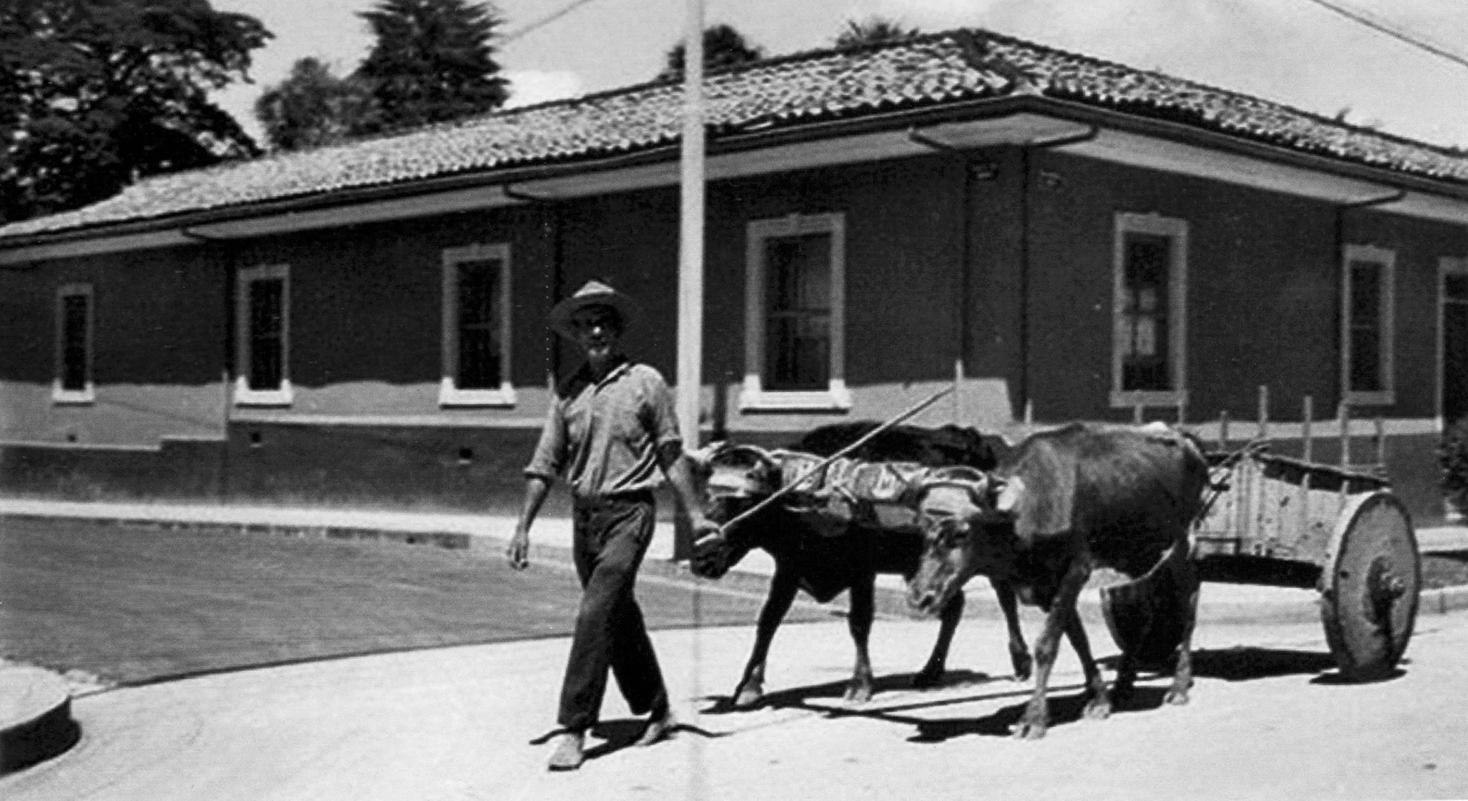 La llamada Casa Rosada, en la esquina suroeste de avenida 1 y calle 17, en la década de 1950. Quizá
la única casa de adobes que quede en San José. Fotografía de Foto Sport. Andrés Fdez. para LN.