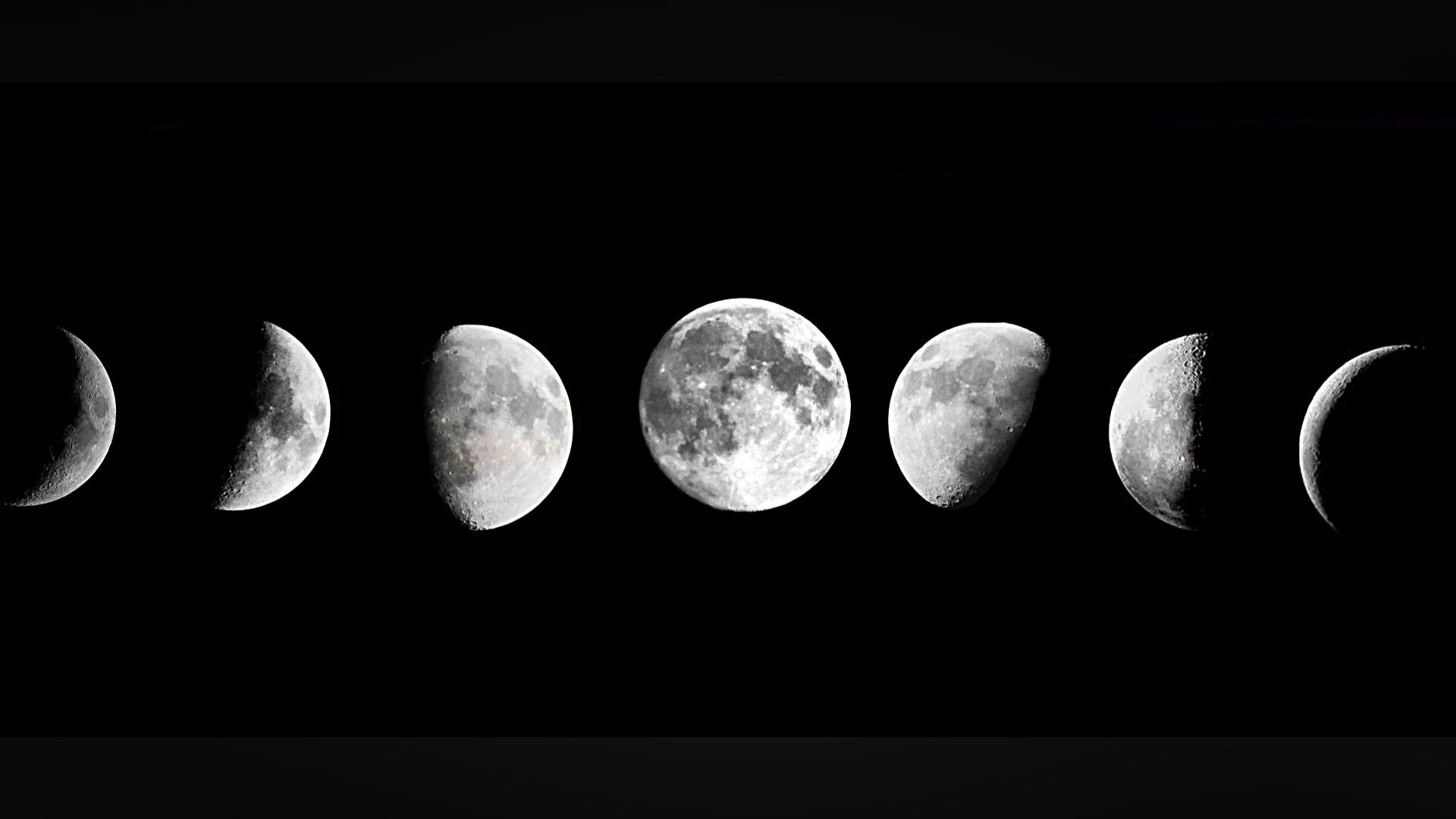 Estas son las fases de la Luna.