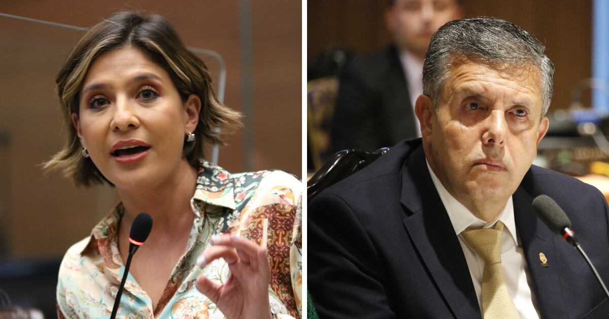 Los diputados Daniela Rojas, del PUSC, y Óscar Izquierdo, reiteraron su respaldo a la iniciativa de ley, pese a la advertencia de veto que hizo el presidente Rodrigo Chaves. Foto: Archivo.