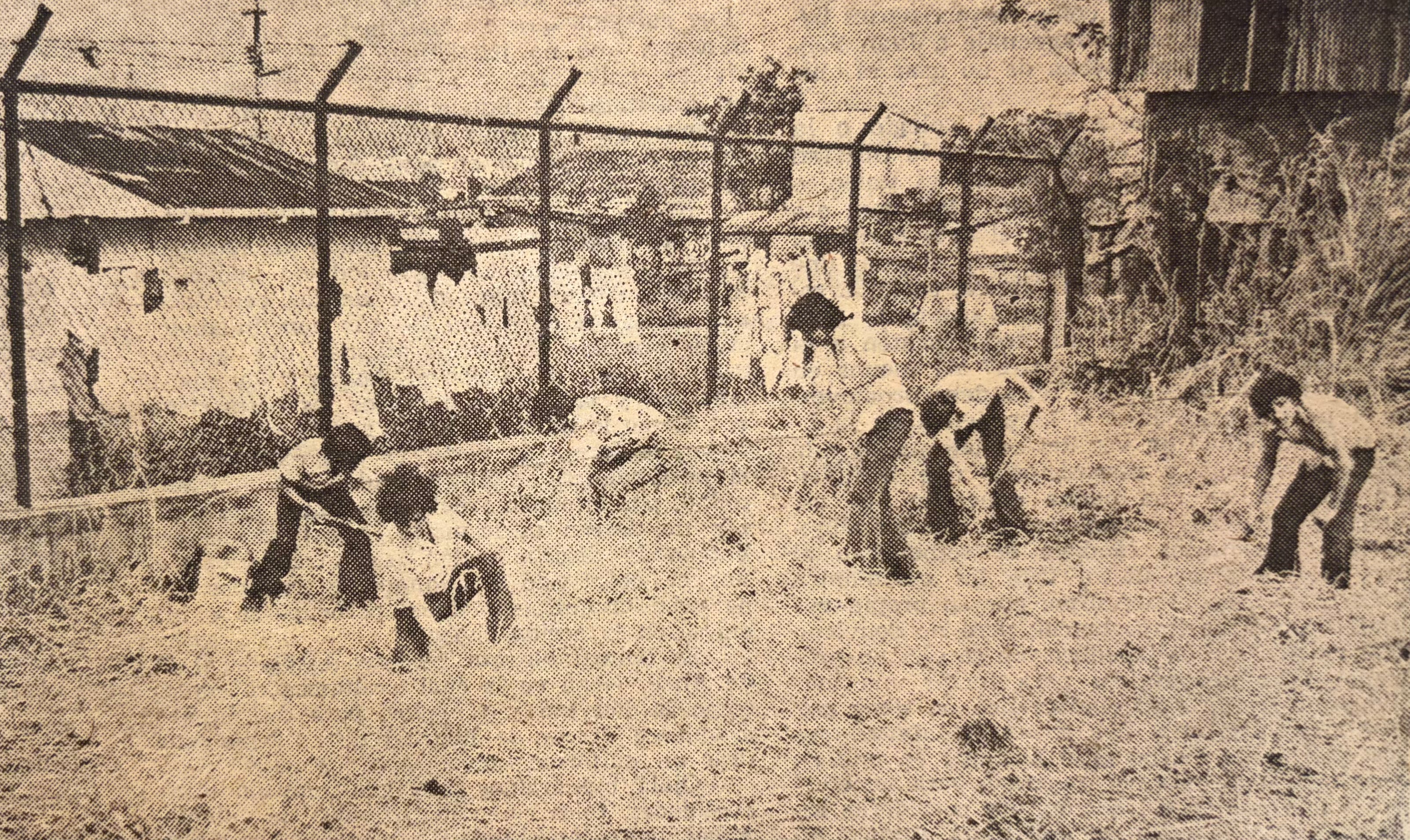 histórico