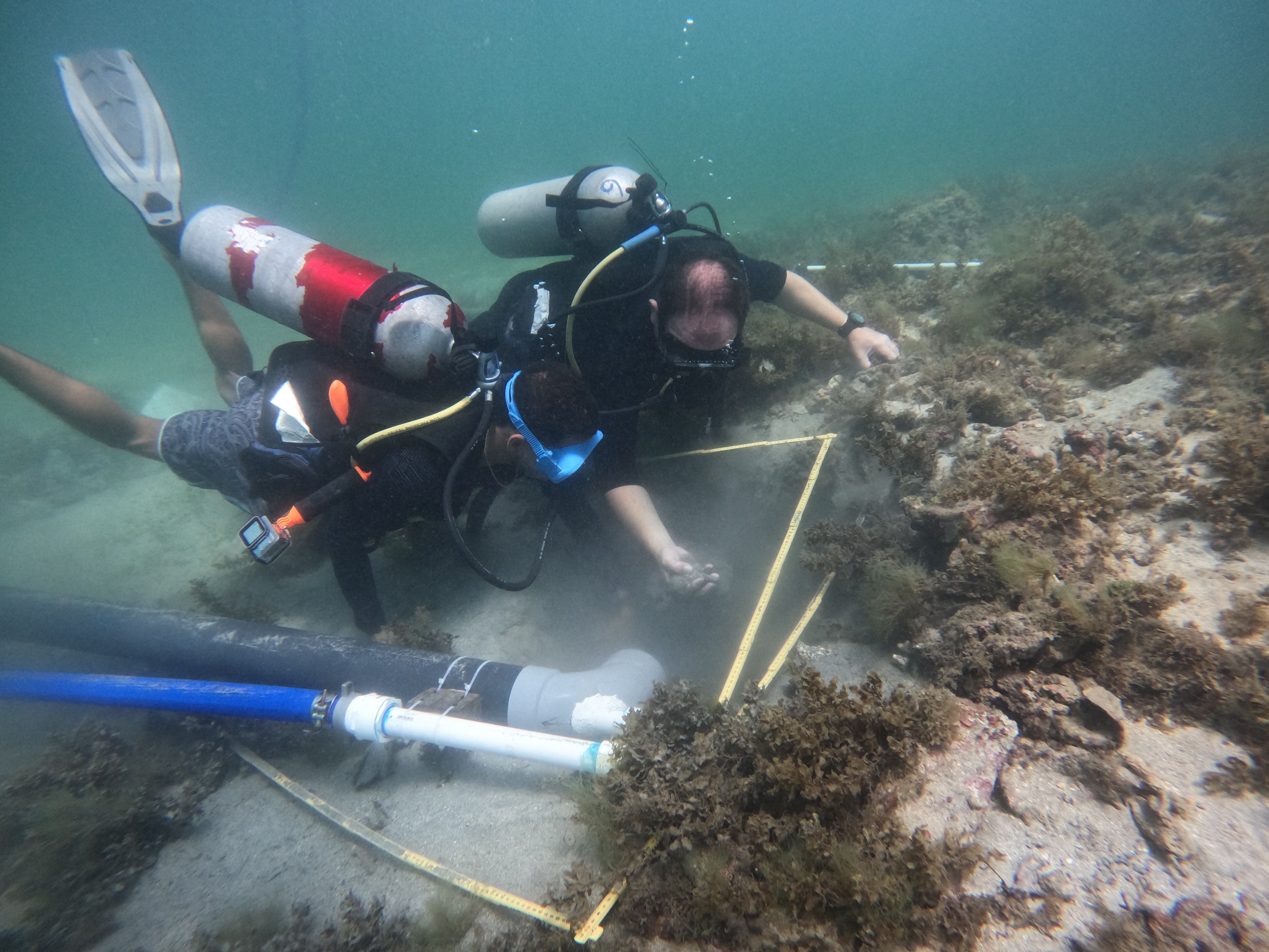 El arqueólogo marino y profesor investigador David Gregory (a la derecha) participa en la excavación junto al buzo local Pete Stevens (a la izquierda), en Cahuita.