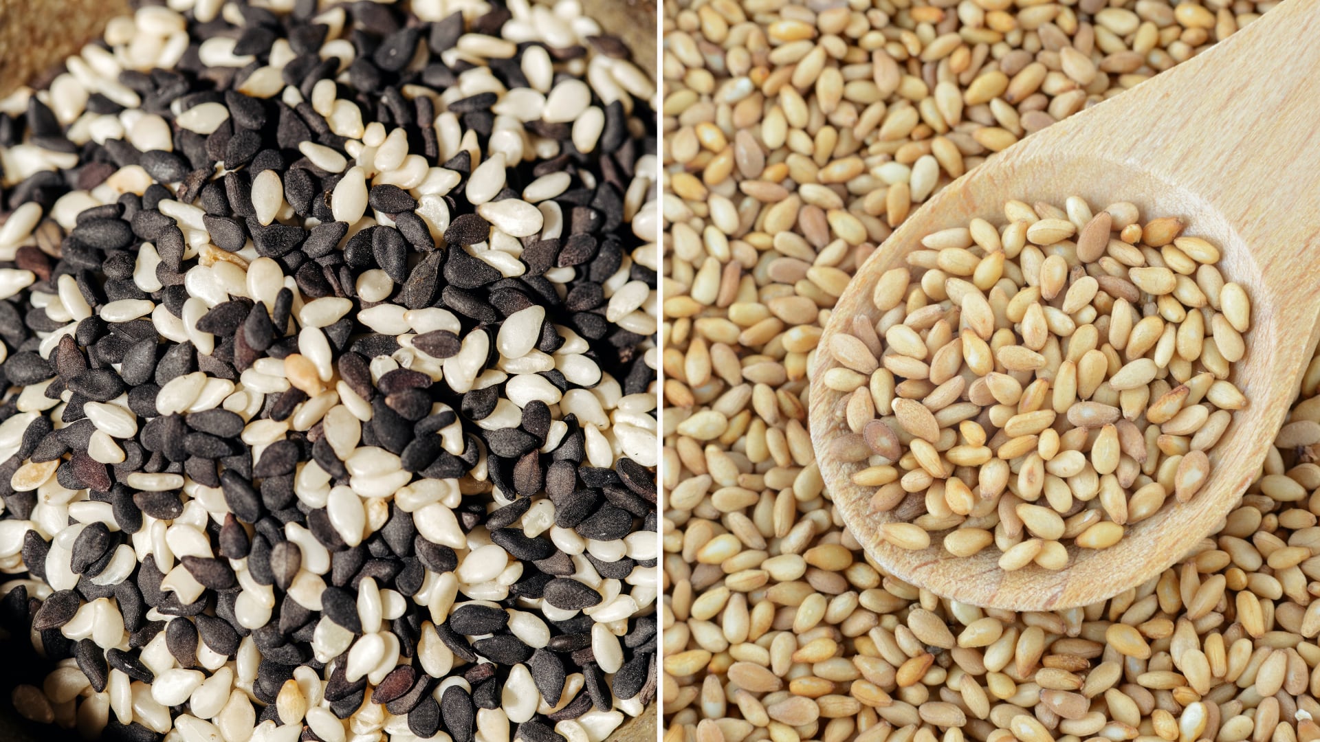 El ajonjolí ofrece beneficios como control del colesterol y mejora digestiva. Su versatilidad permite usarlo en diversas preparaciones.