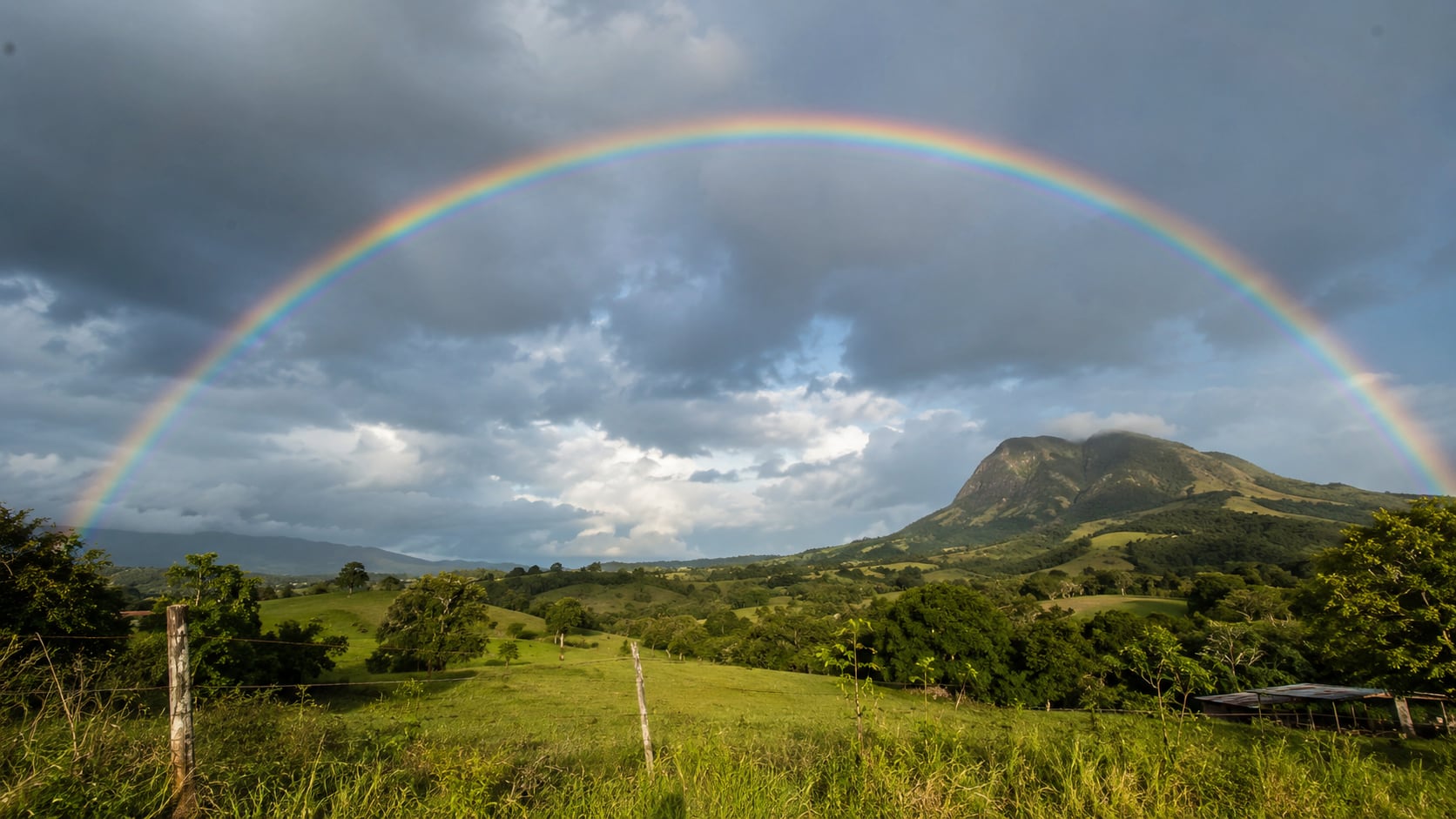 Los arcoíris nacen por la refracción y reflexión de la luz en gotas de agua. Su forma real y sus colores tienen una explicación científica.