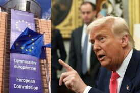 Unión Europea puede exigir sanciones contra Estados Unidos en tema de olivas españolas, según la OMC