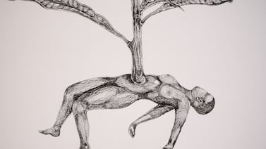 El arte de Verónica Navas se teje entre textiles, hierbas y territorios: Conozca su obra