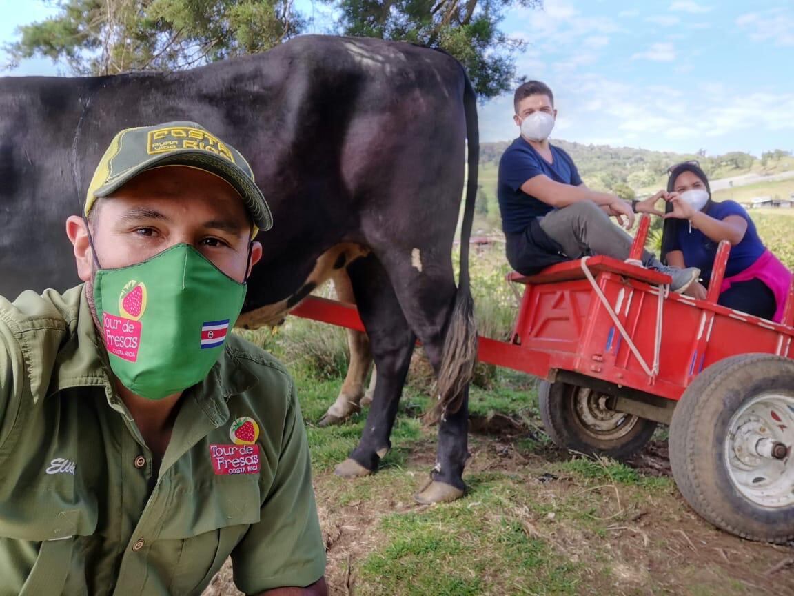 En Poasito de Alajuela existe el primer tour de fresas guiado en Costa Rica y además para el hacer la experiencia más puras tejas es posible montarse en una carreta típica jalada por bueyes. Según el guía de turismo certificado por el ICT, agricultor, turistólogo y propietario y desarrollador de este tour, Eliécer Víquez, el Tour de Fresas permite una experiencia completa a los turistas nacionales o extranjeros