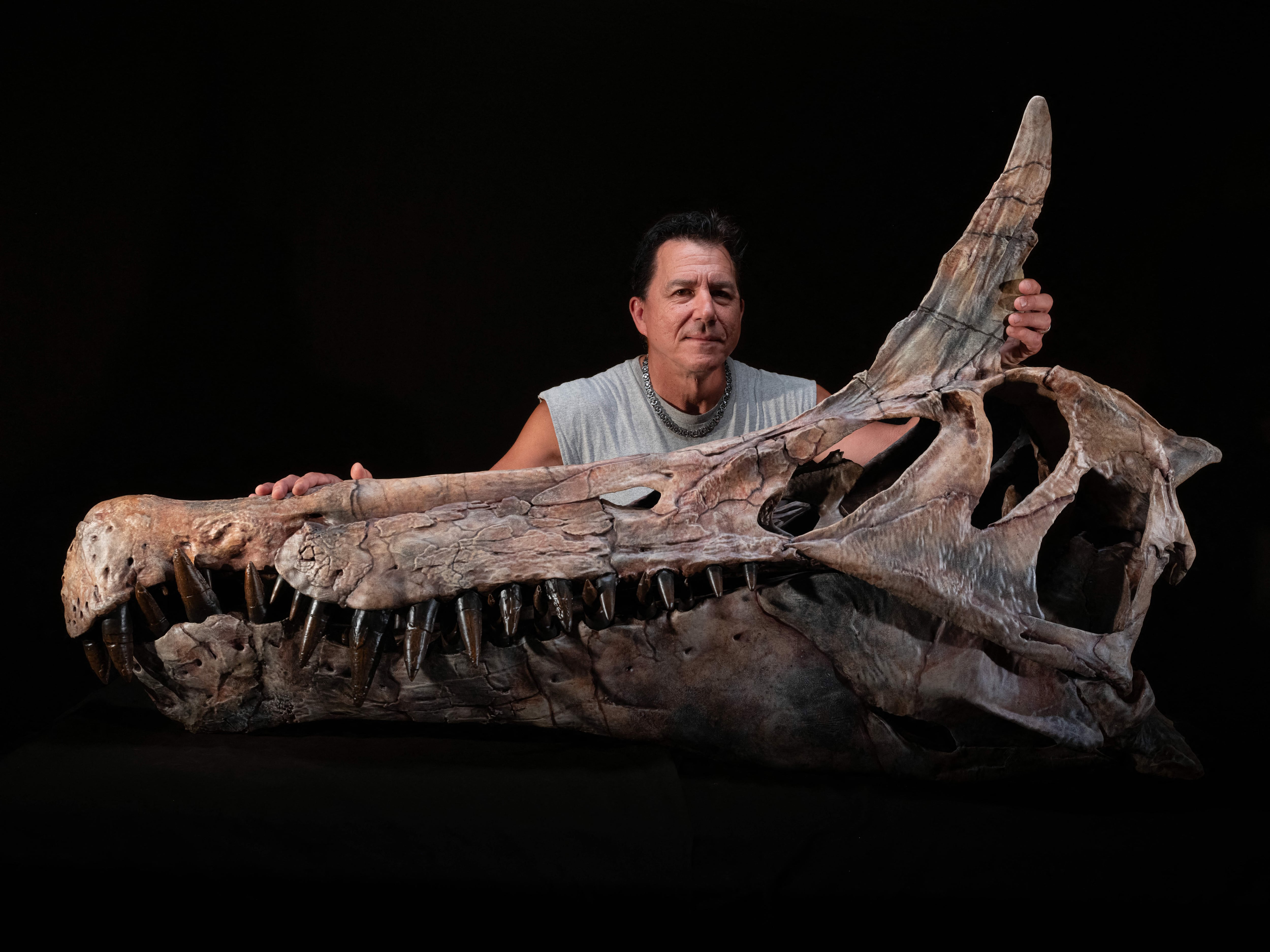 Fósiles del espinosáurido Spinosaurus Mirabilis,no se había descubierto ninguna especie de este género en más de un siglo.