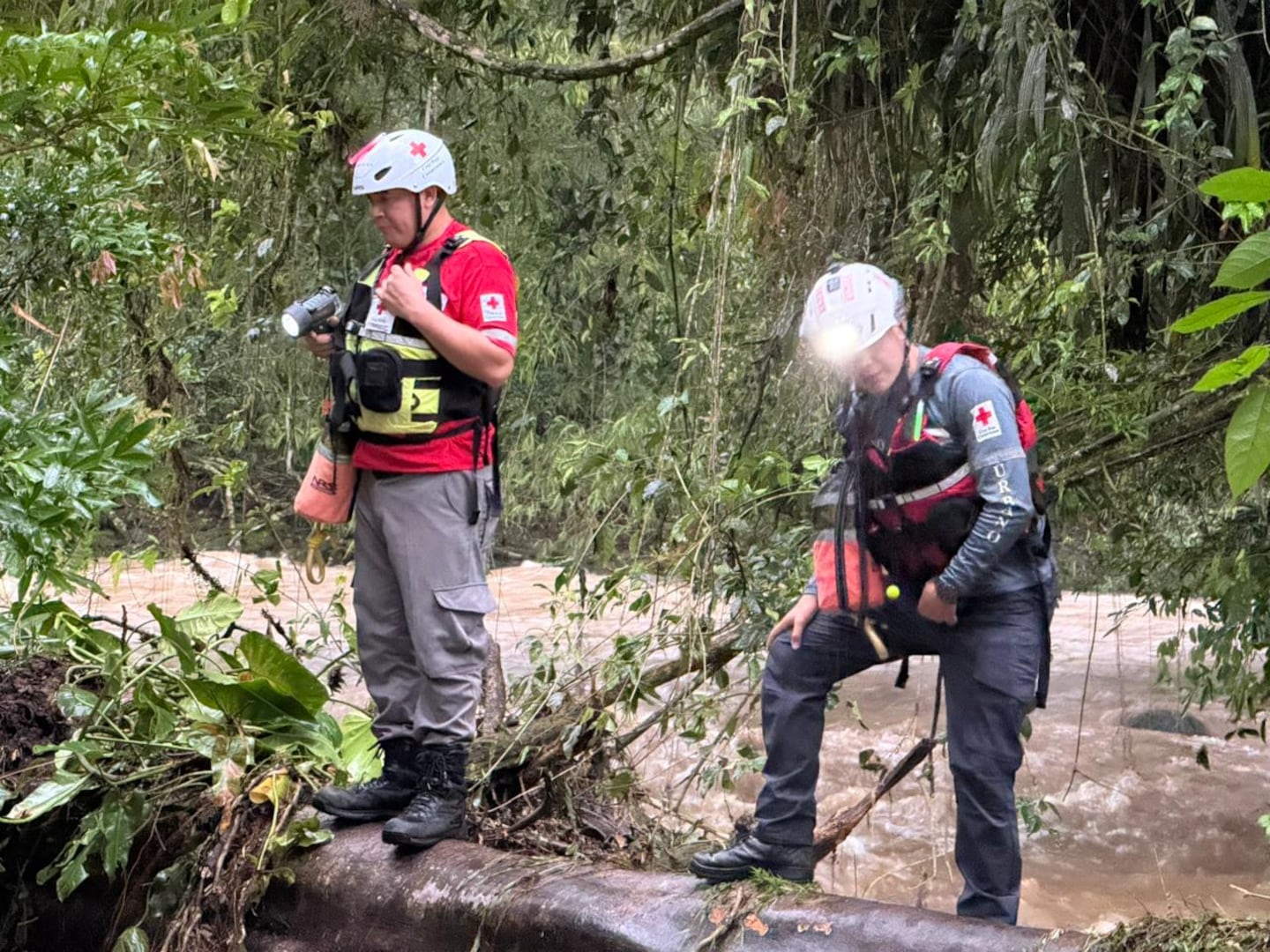 Cruz Roja busca a hombre arrastrado por la corriente en río Costa Rica, en Pococí