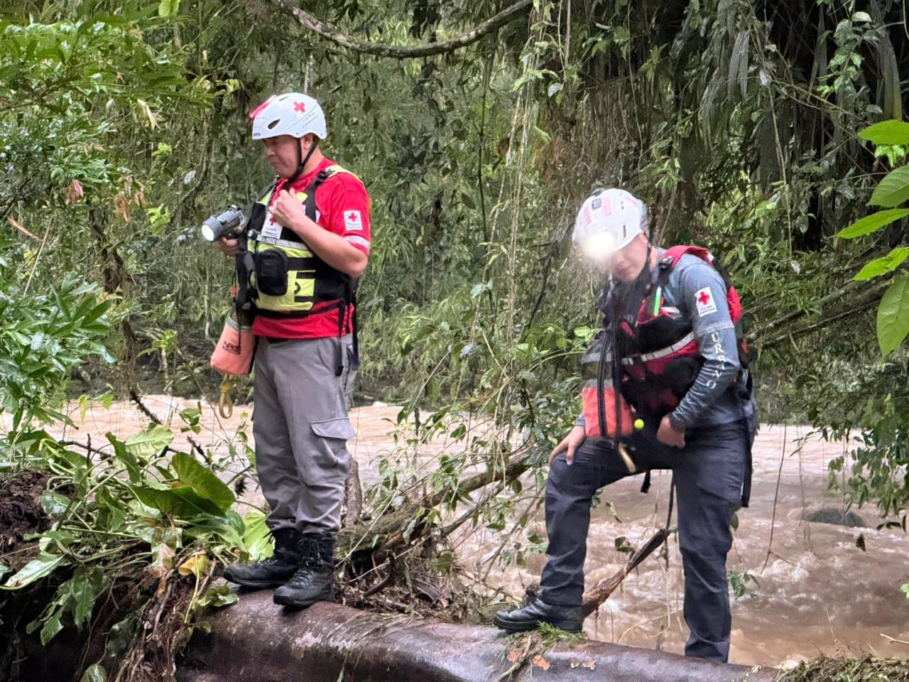 Cruz Roja busca desaparecido Pococí