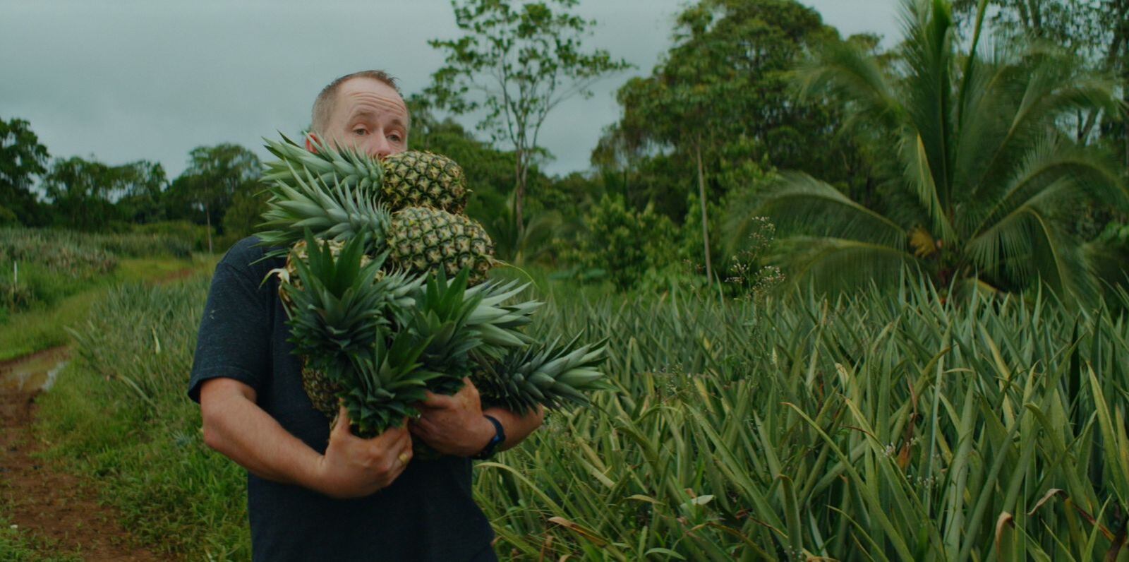 l actor Billy Boyd recoge piñas en una plantación orgánica en Sarapiquí, una de las actividades del itinerario del programa "Billy & Dom Eat The World".