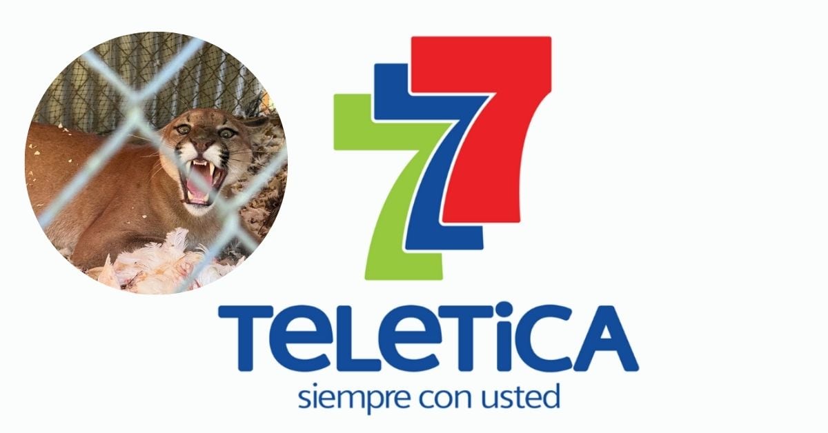 Teletica