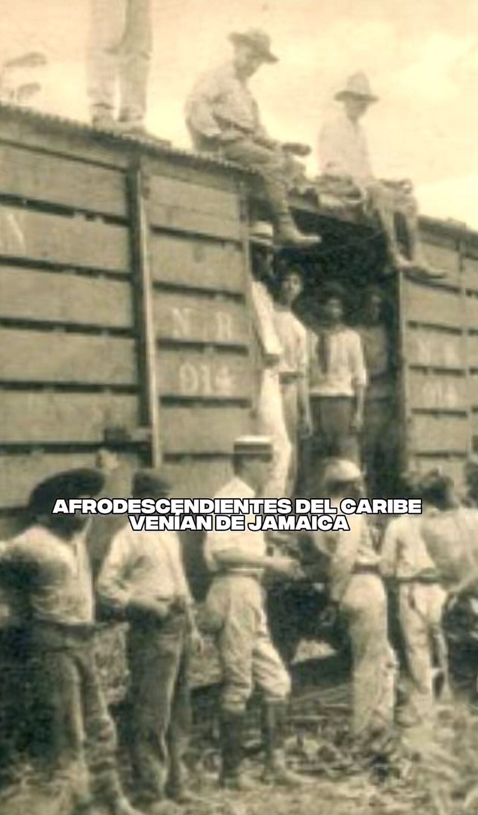 Evangelina González