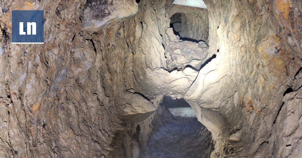 Este túnel se utiliza para la extracción ilegal de combustible en Siquirres y tiene una longitud de 13 metros, con dos de ancho y dos de profundidad.