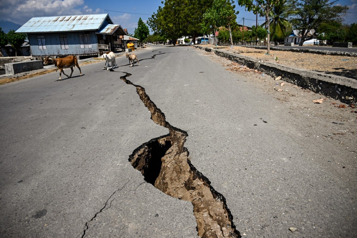 Cabras pasan junto a una grieta en la carretera, en Marapokot, Nagekeo, Nusa Tenggara Oriental, el 17 de agosto de 2026, tras un terremoto de magnitud 7,7.