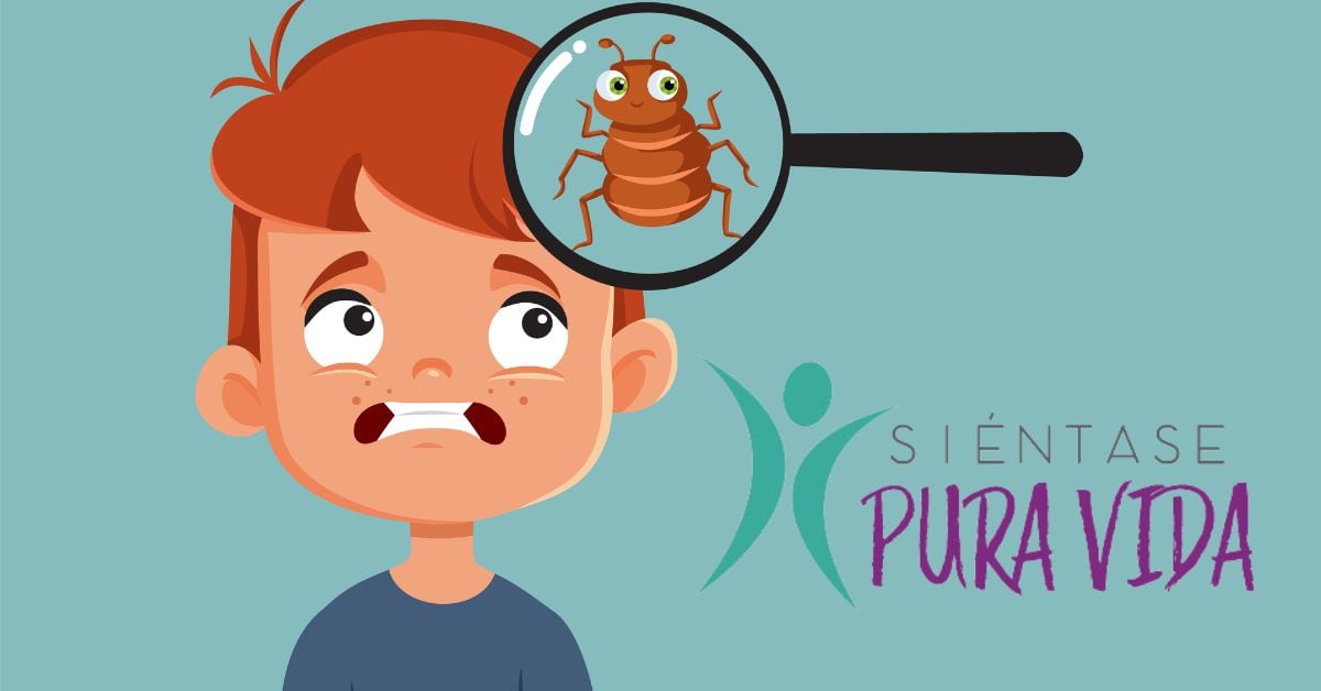 Los piojos se reproducen de forma rápida y dejan sus huevecillos en el cuero cabelludo.
Imagen: Shutterstock