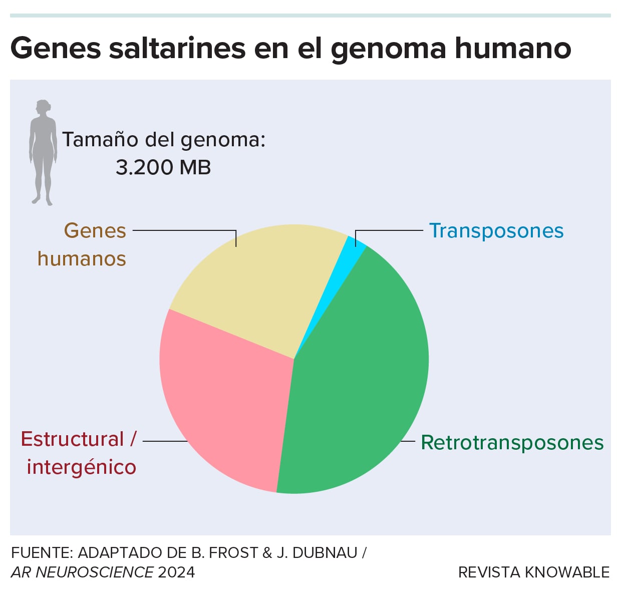 Gráfico de los genes saltarines en el ser humano.