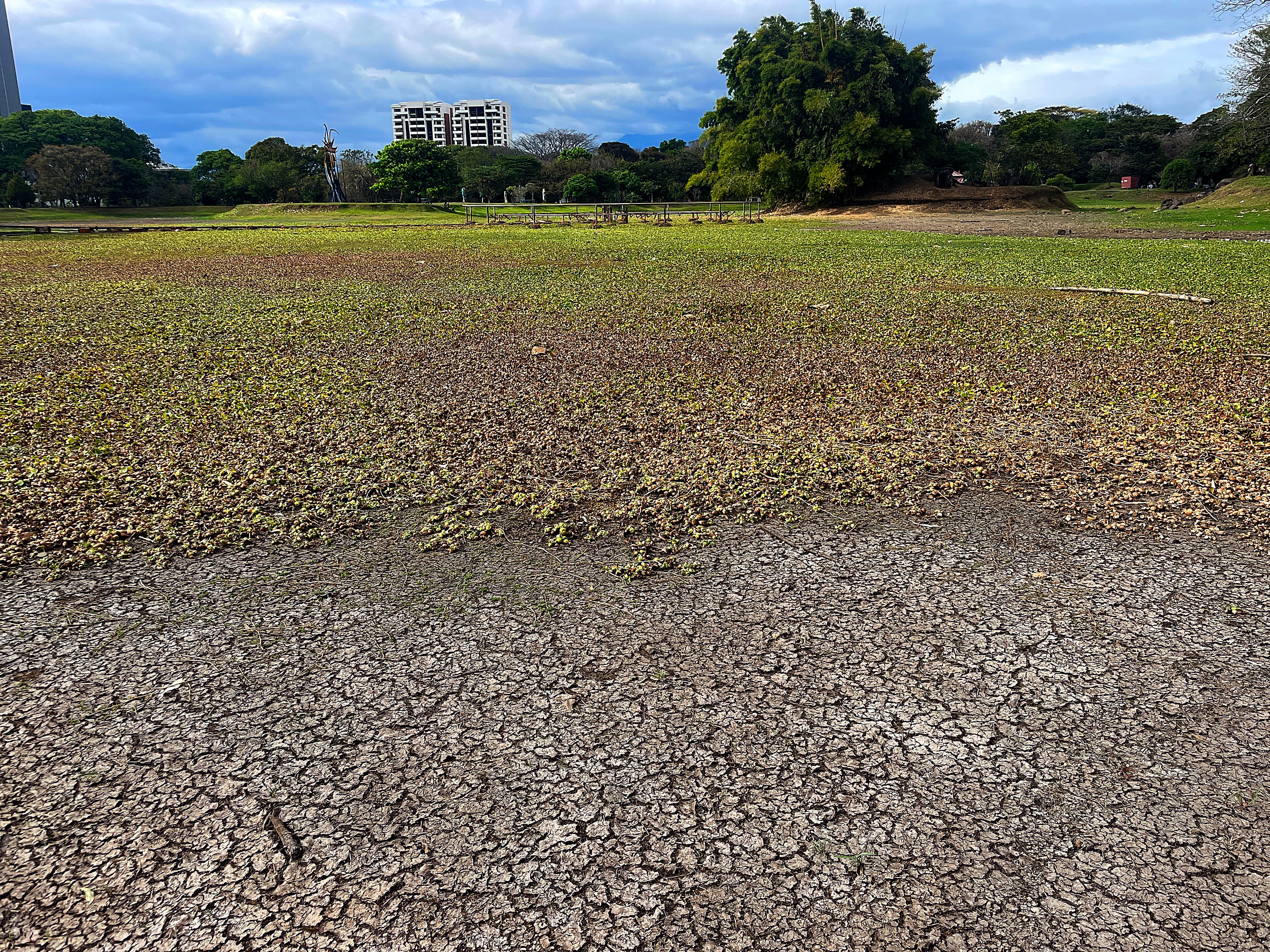 La Sabana. La metamorfósis del lago del pulmón josefino
