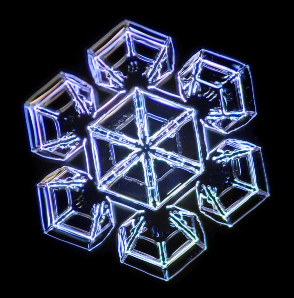 Cristales de nieve vistos por un microscopio.