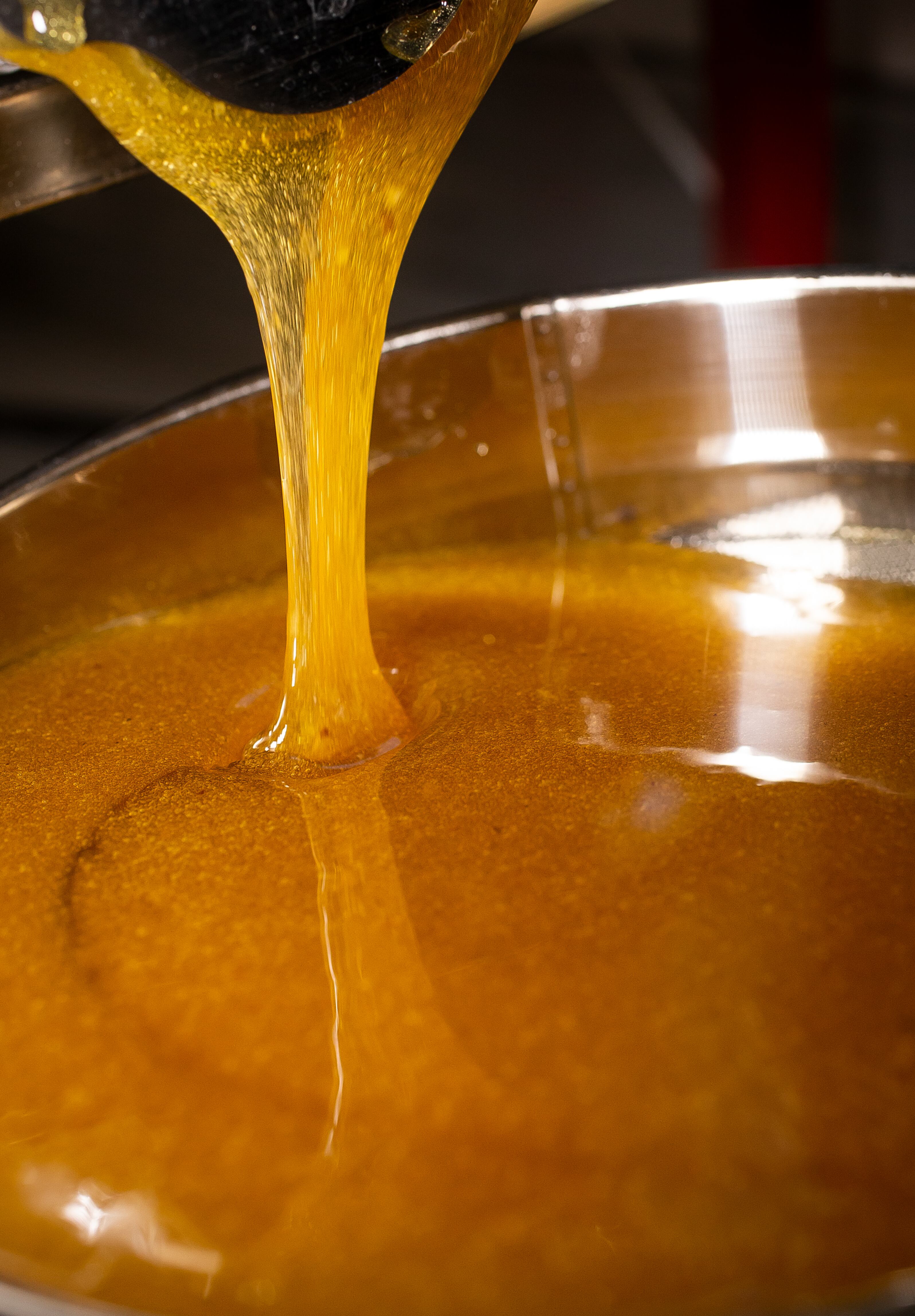 Las abejas obreras vuelan cada día hasta 2 kilómetros. Su labor polinizadora es esencial para el ecosistema. Foto: Cortesía