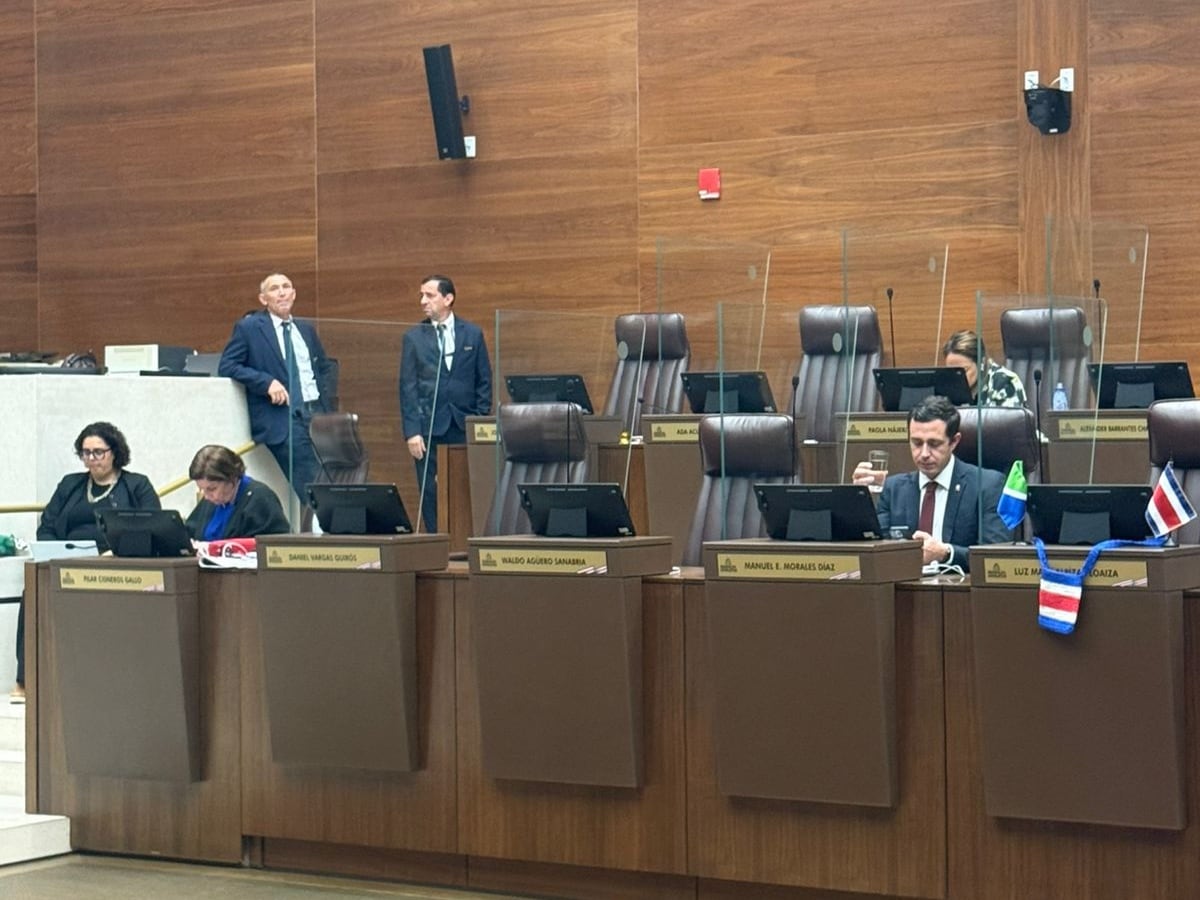 diputados en plenario magistrados sala constitucional