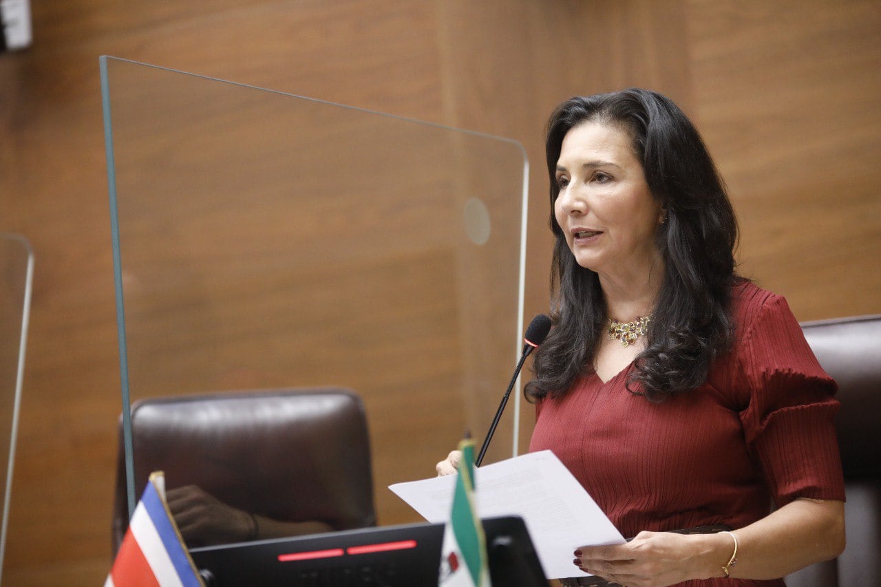 Diputados en comisiones y plenario