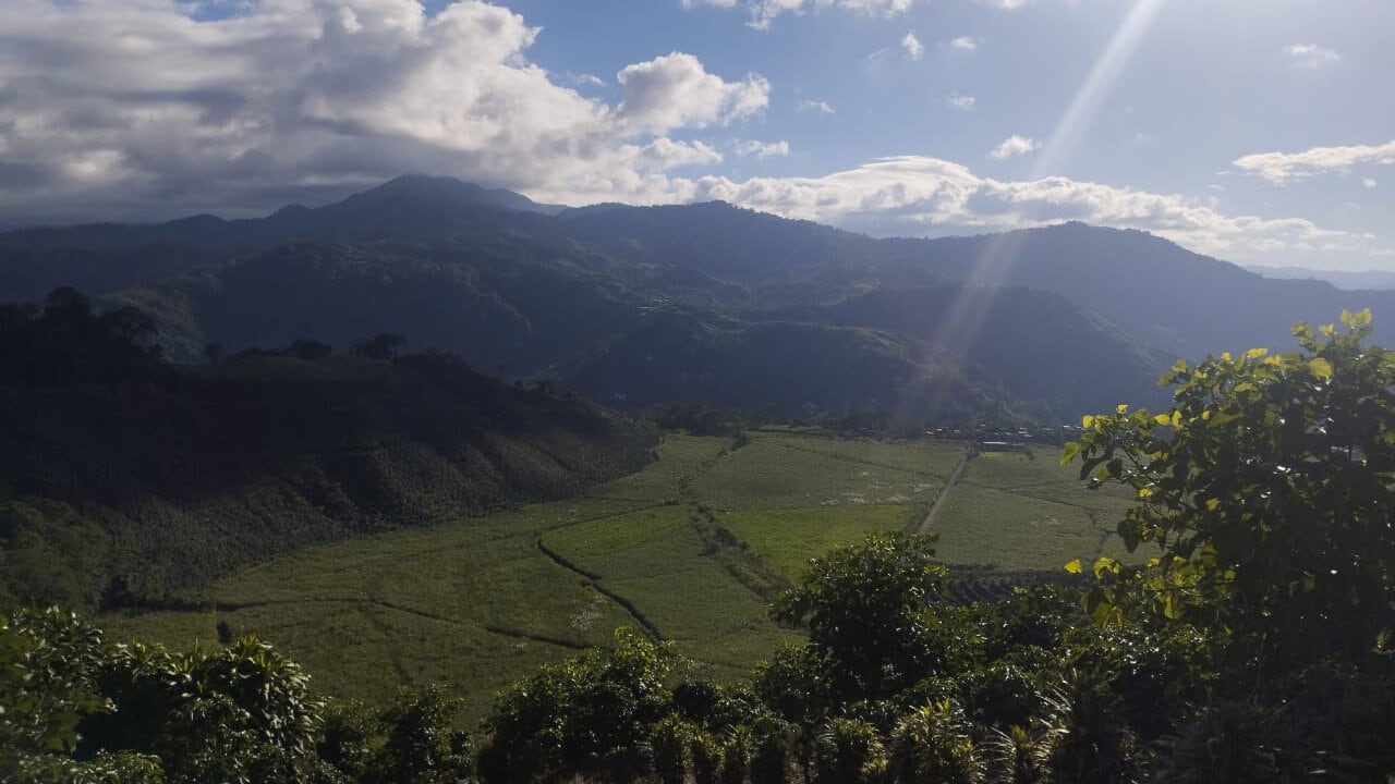 La caminata tendrá lugar el próximo miércoles 19 de junio.