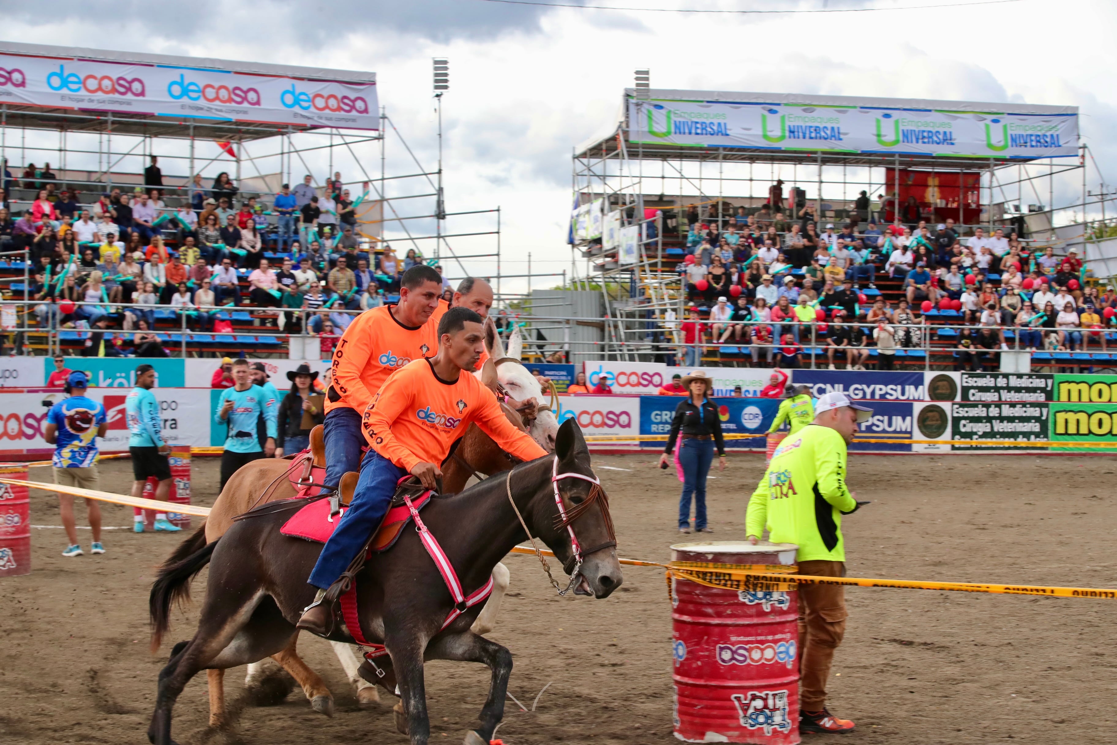 Imagen de dos jinetes sobre una mula en una carrera de mulas durante una de las corridas de toros en Pedregal.