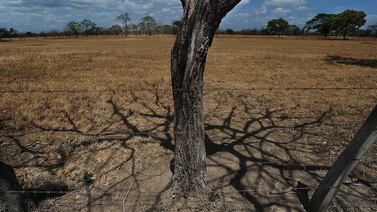 17 de junio: Día de la Desertificación y Sequía