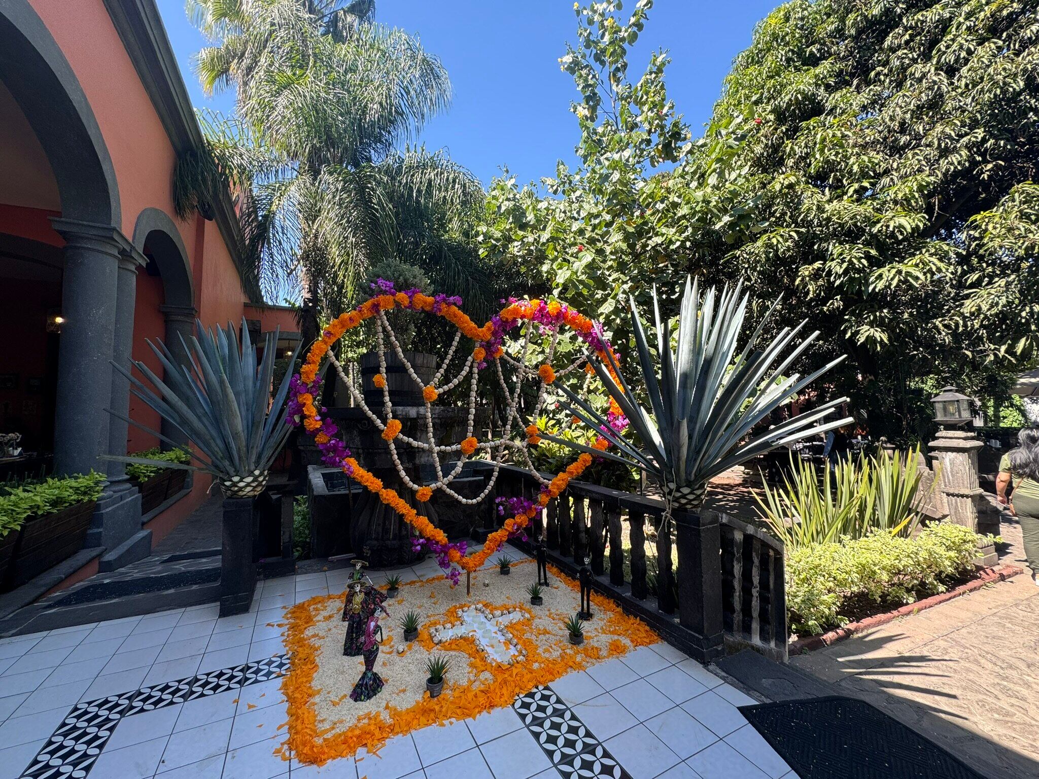 Planta con pinta de peligrosa es la minita de oro del tequila mexicano.