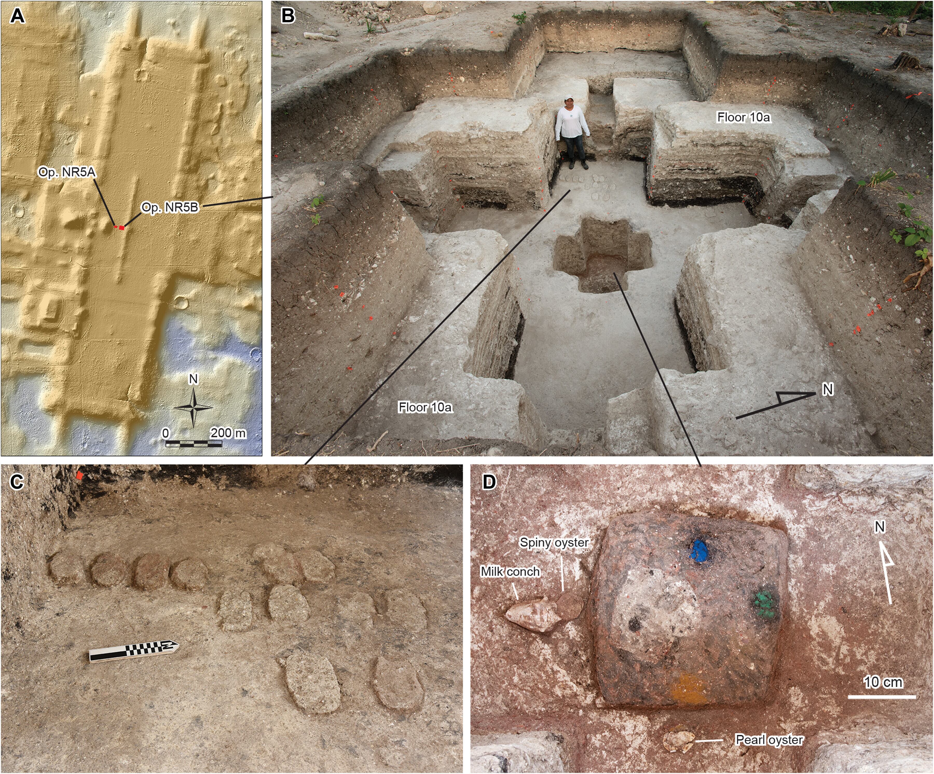 El hallazgo en Aguada Fénix muestra que los mayas ya representaban el cosmos siglos antes de construir pirámides y establecer monarquías.