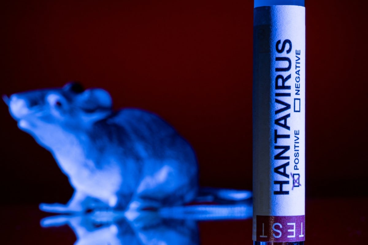 Un brote mortal de hantavirus en un crucero ha generado preocupación mundial por la posible propagación del virus entre los evacuados del barco y desde ellos hacia sus países de origen.