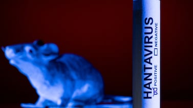 Expertas independientes piden que se evalúe la gestión de la crisis del hantavirus