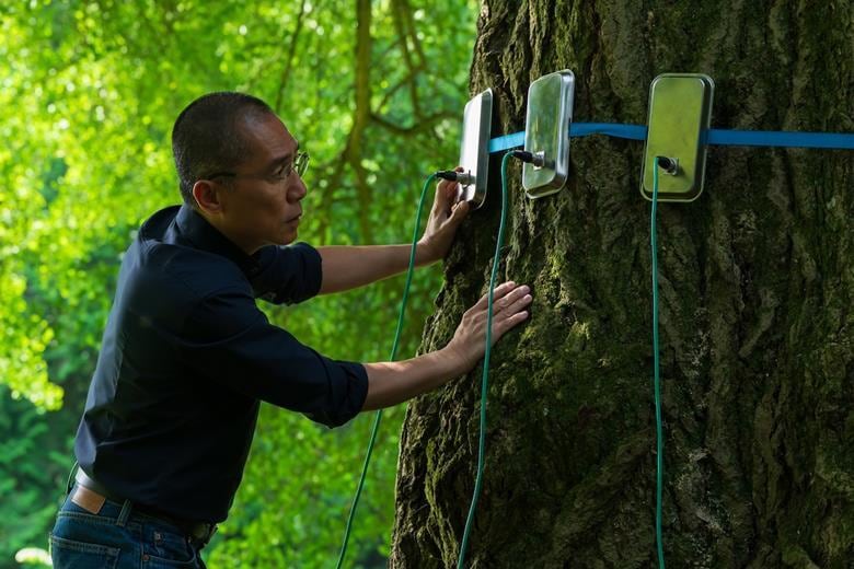 Tony Leung en 'Silent Friend', parte del Festival de Cine Europeo del Cine Magaly.