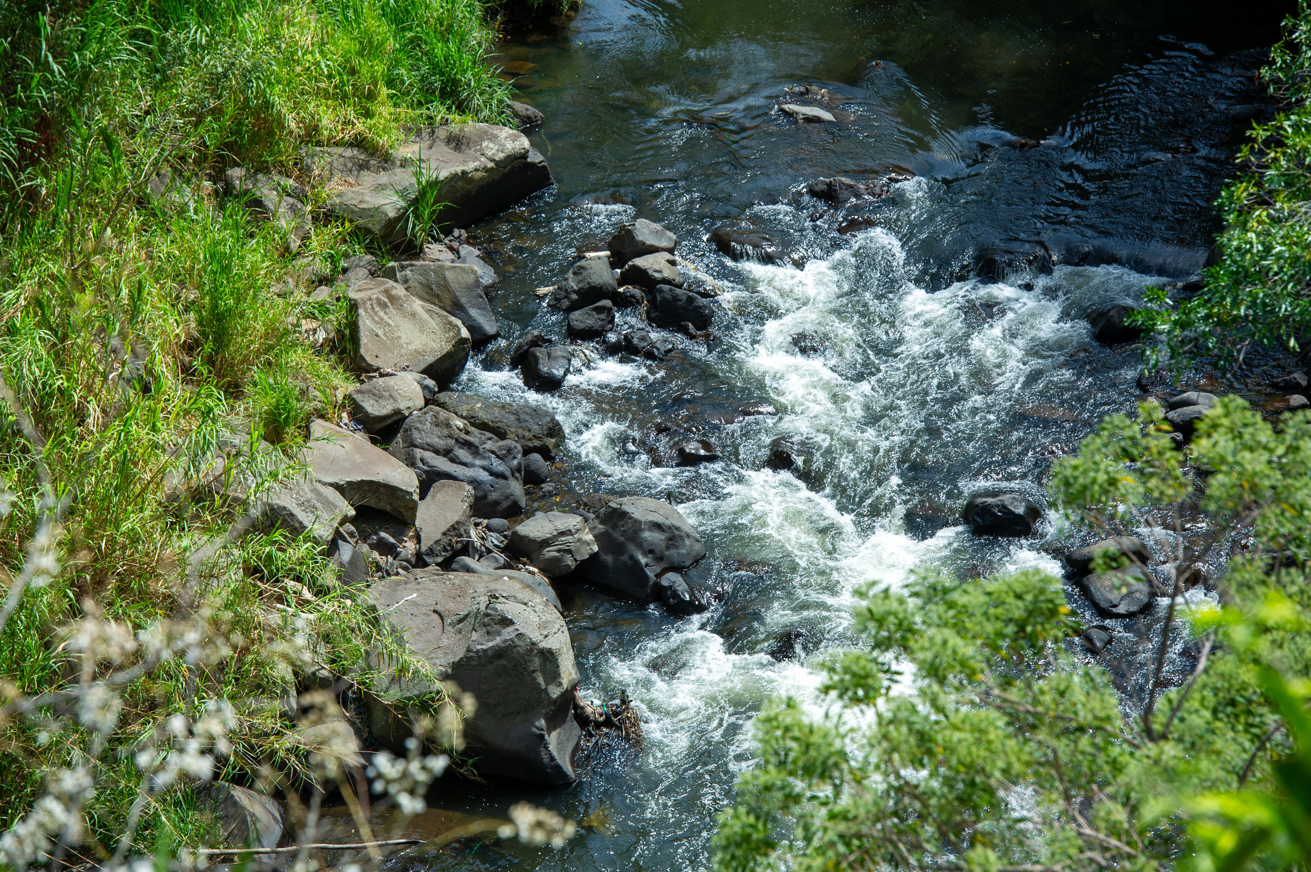 Tragedia del Virilla