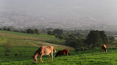 ¿Por qué el polvo del Sahara nos cuida cuando llueve?