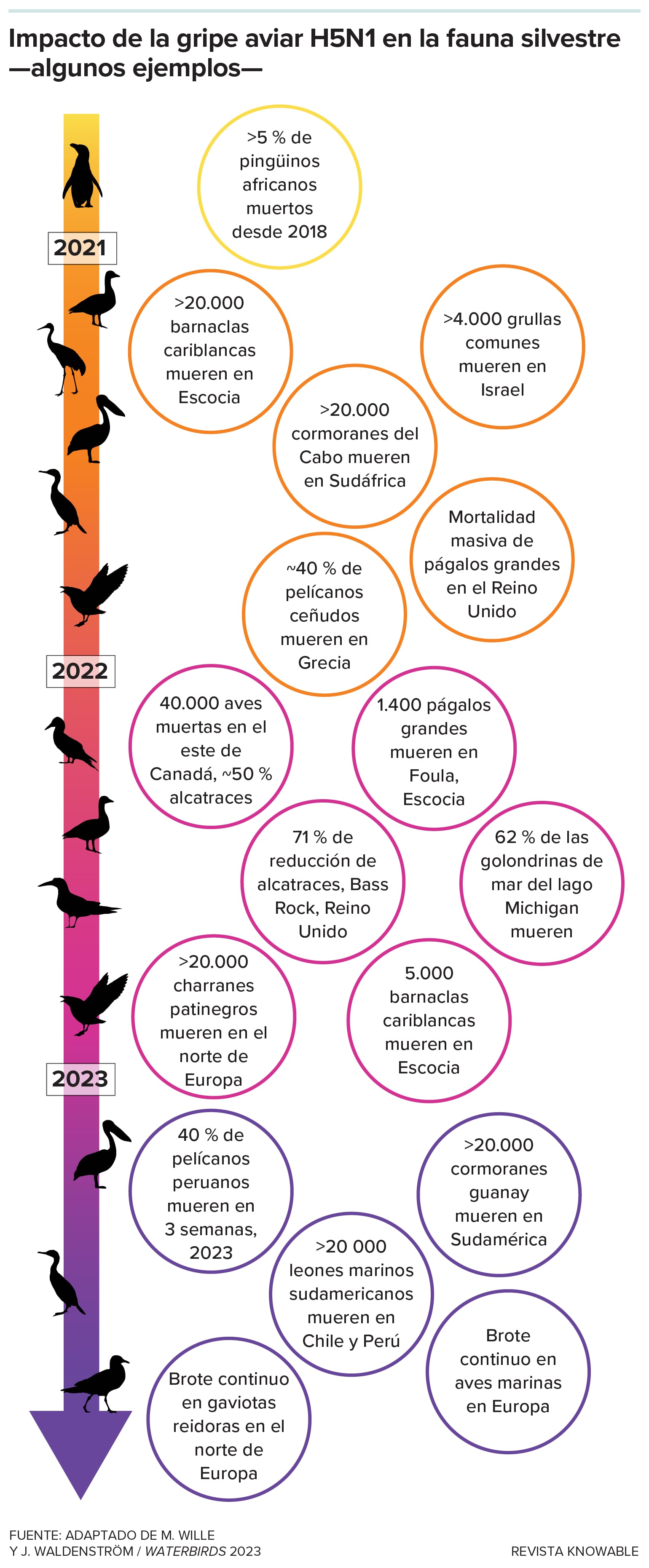 Un gráfico del impacto de la gripe aviar en los diferentes animales.